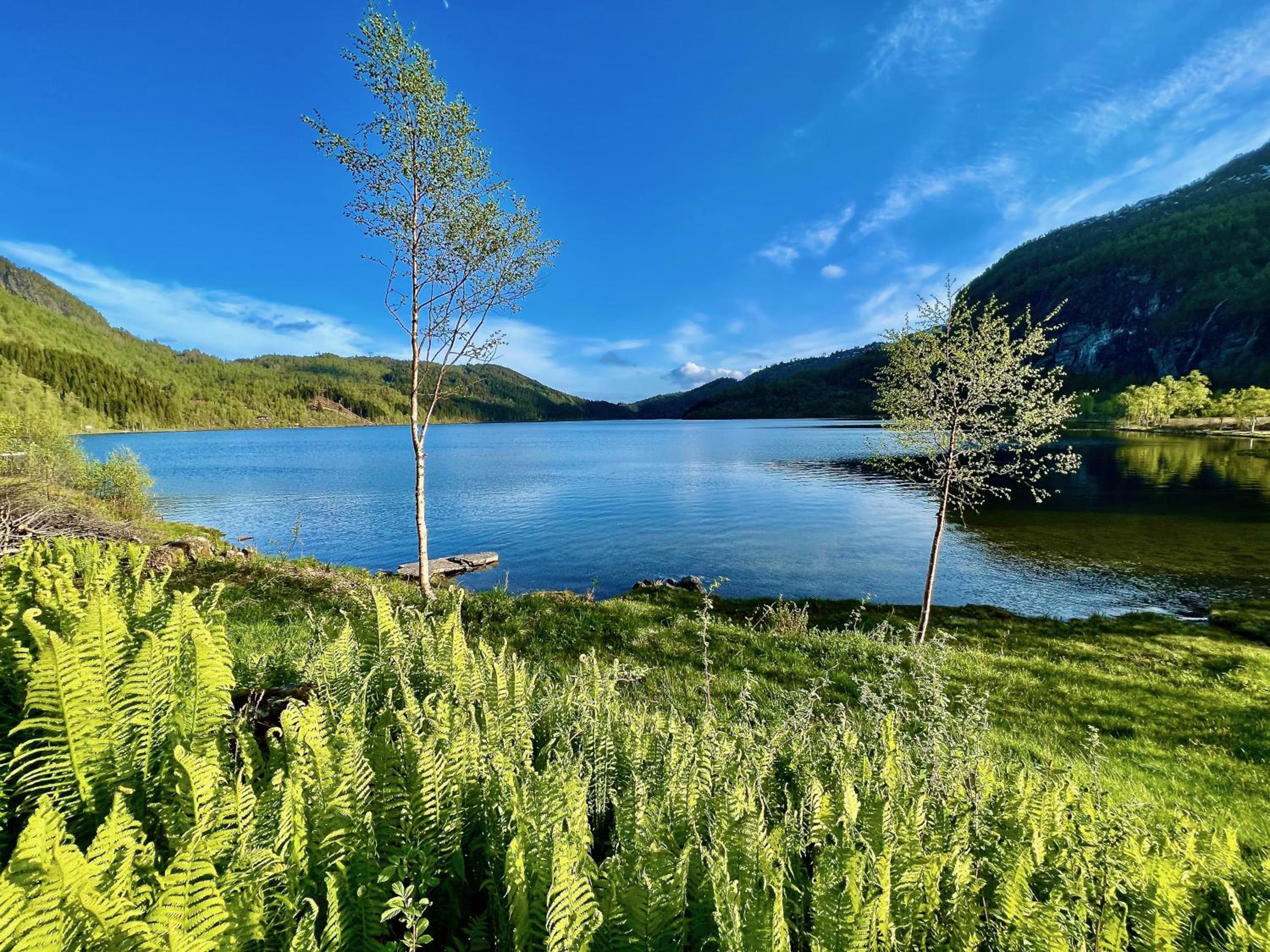 Hardangerfjord View - luxury fjord-side holiday home