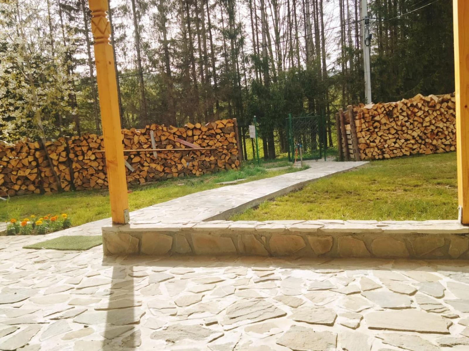 Poiana Sașilor - Valea Doftanei view 5