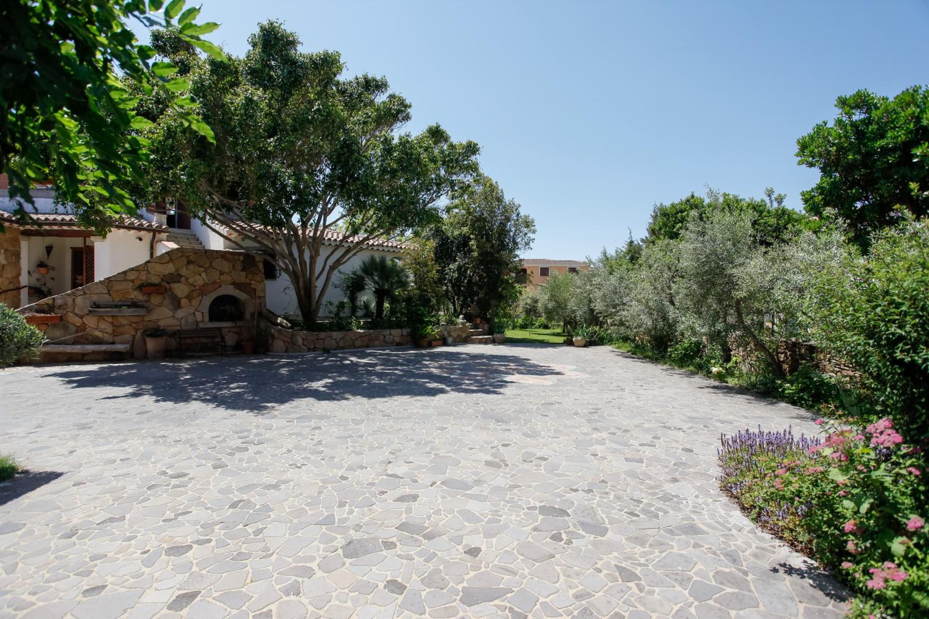 mirtagru Trilo Mare