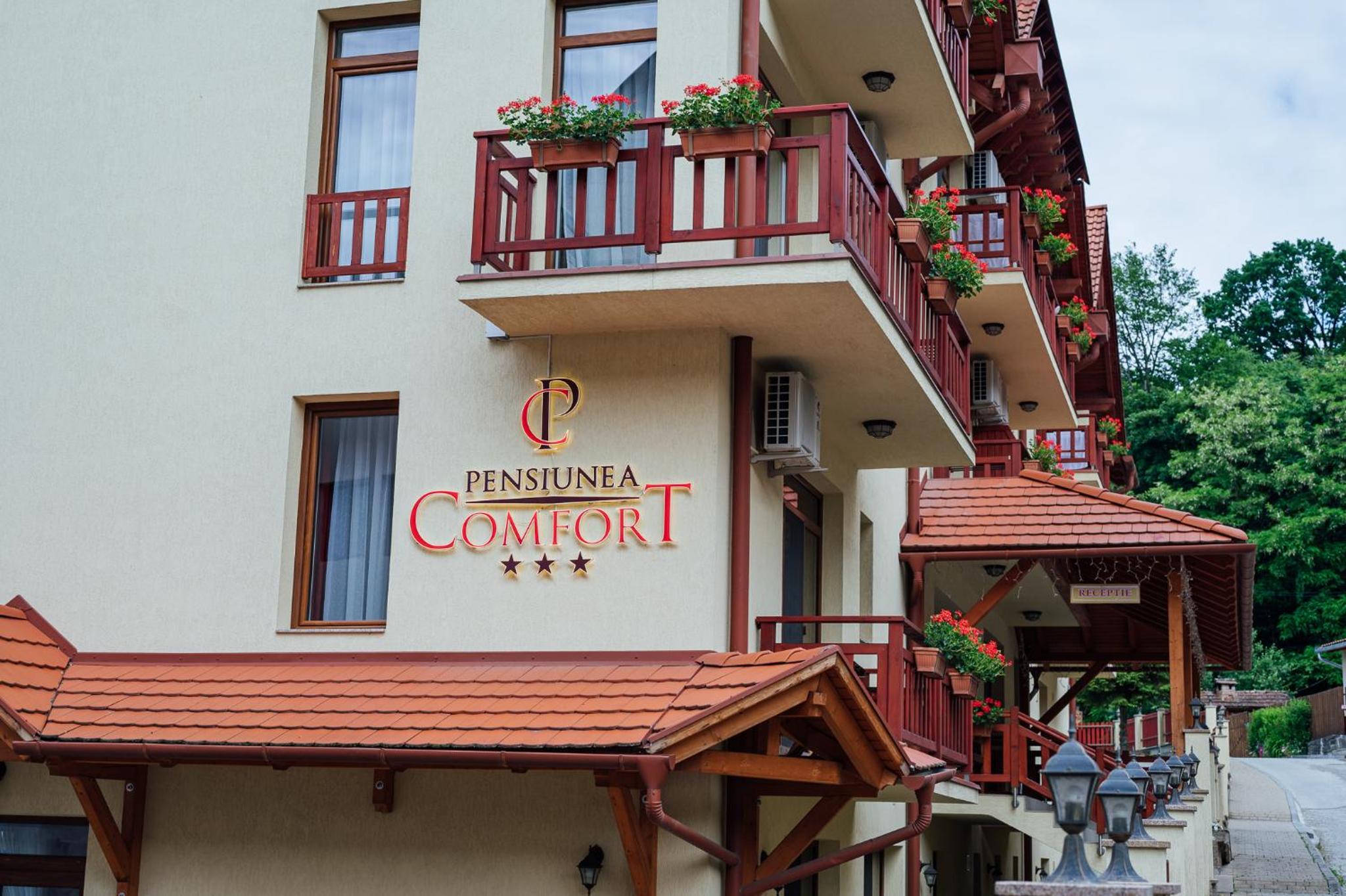 Pensiunea Comfort view 4