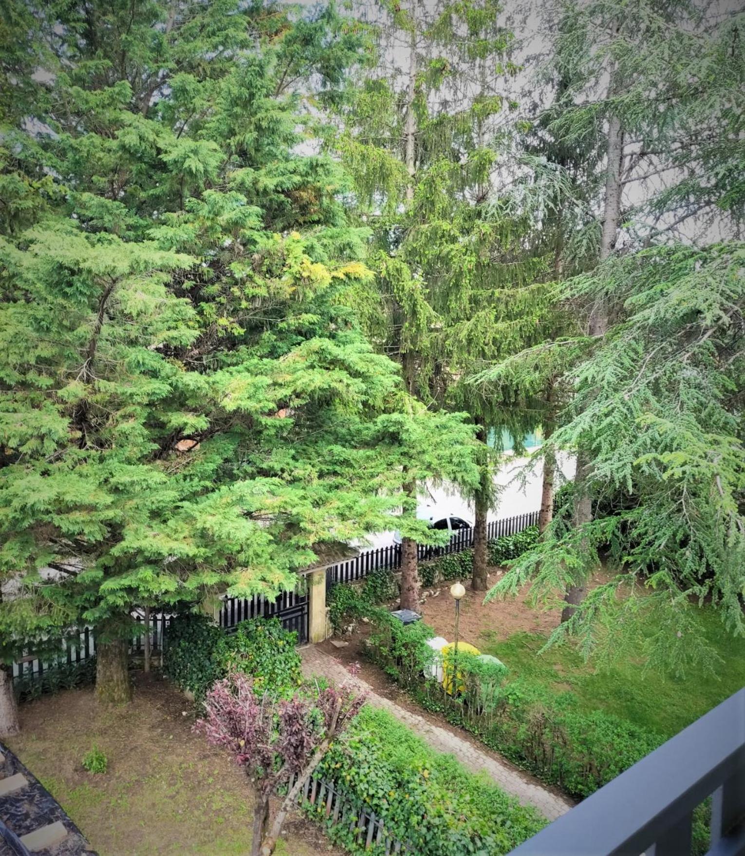 CASA GIULIA view 5