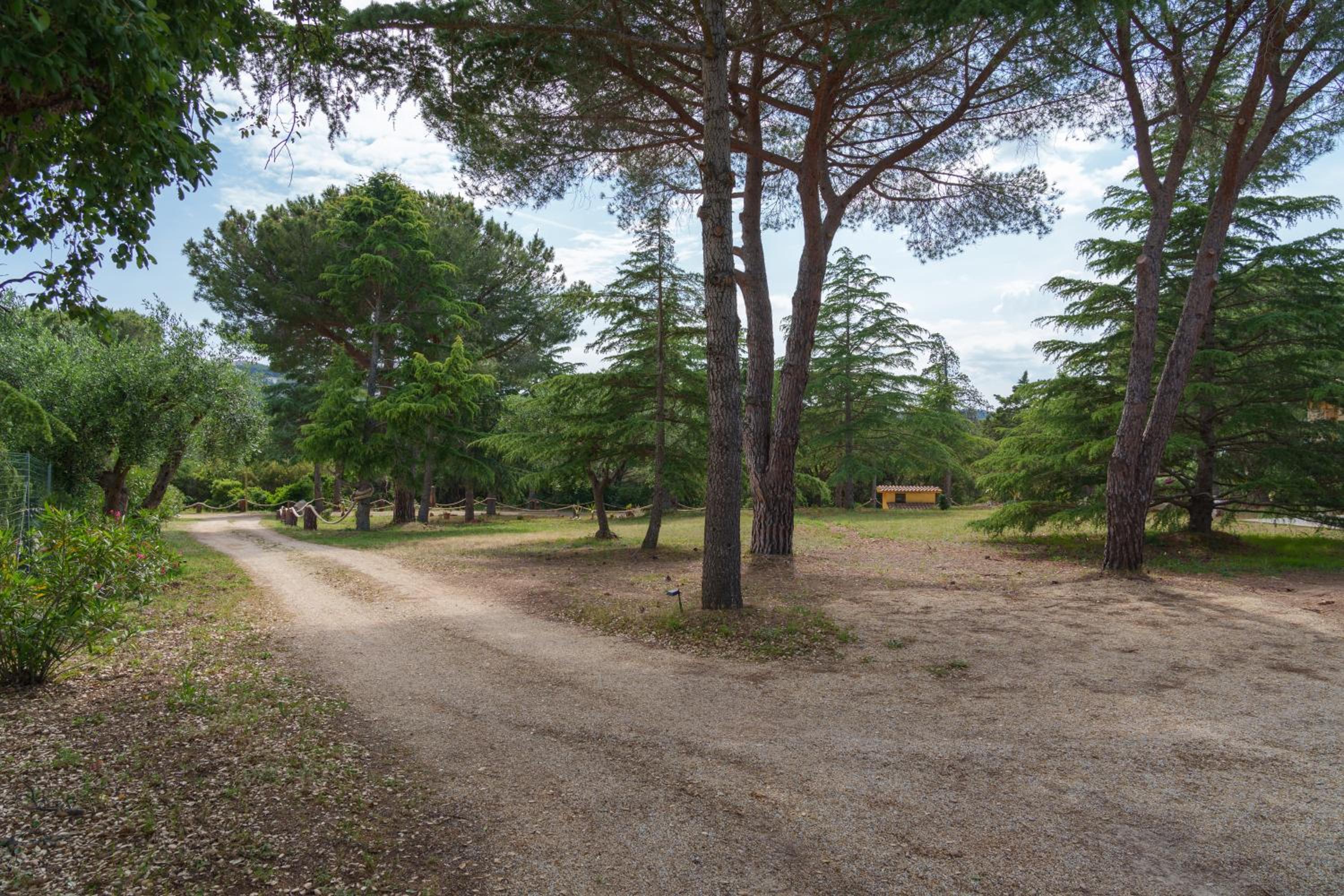 Villino nel Bosco