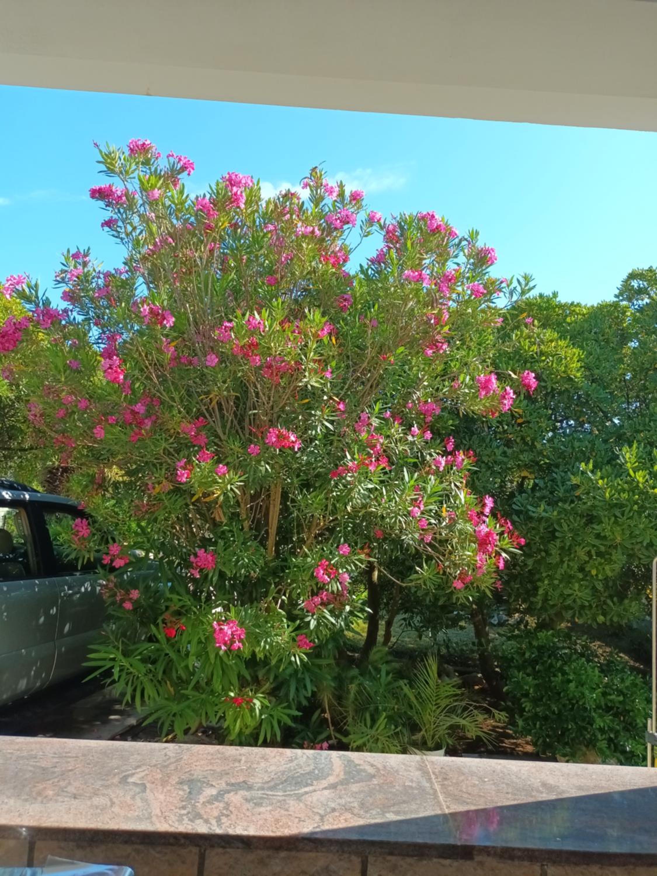 Villa Pagar - with hydromassage pool, pets friendly view 4