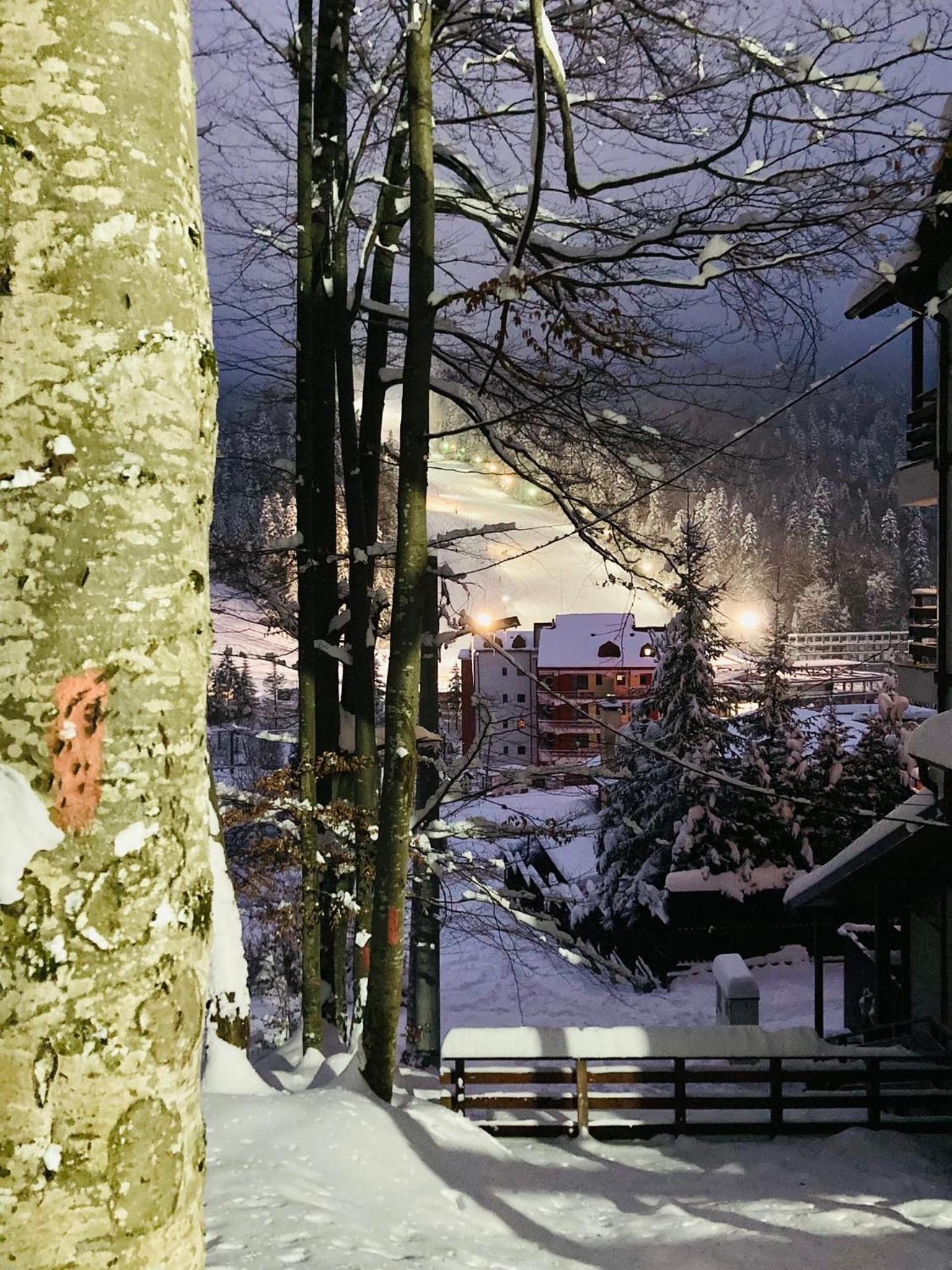 Studio Mirage@Snow Residence (ski & forest) view 3