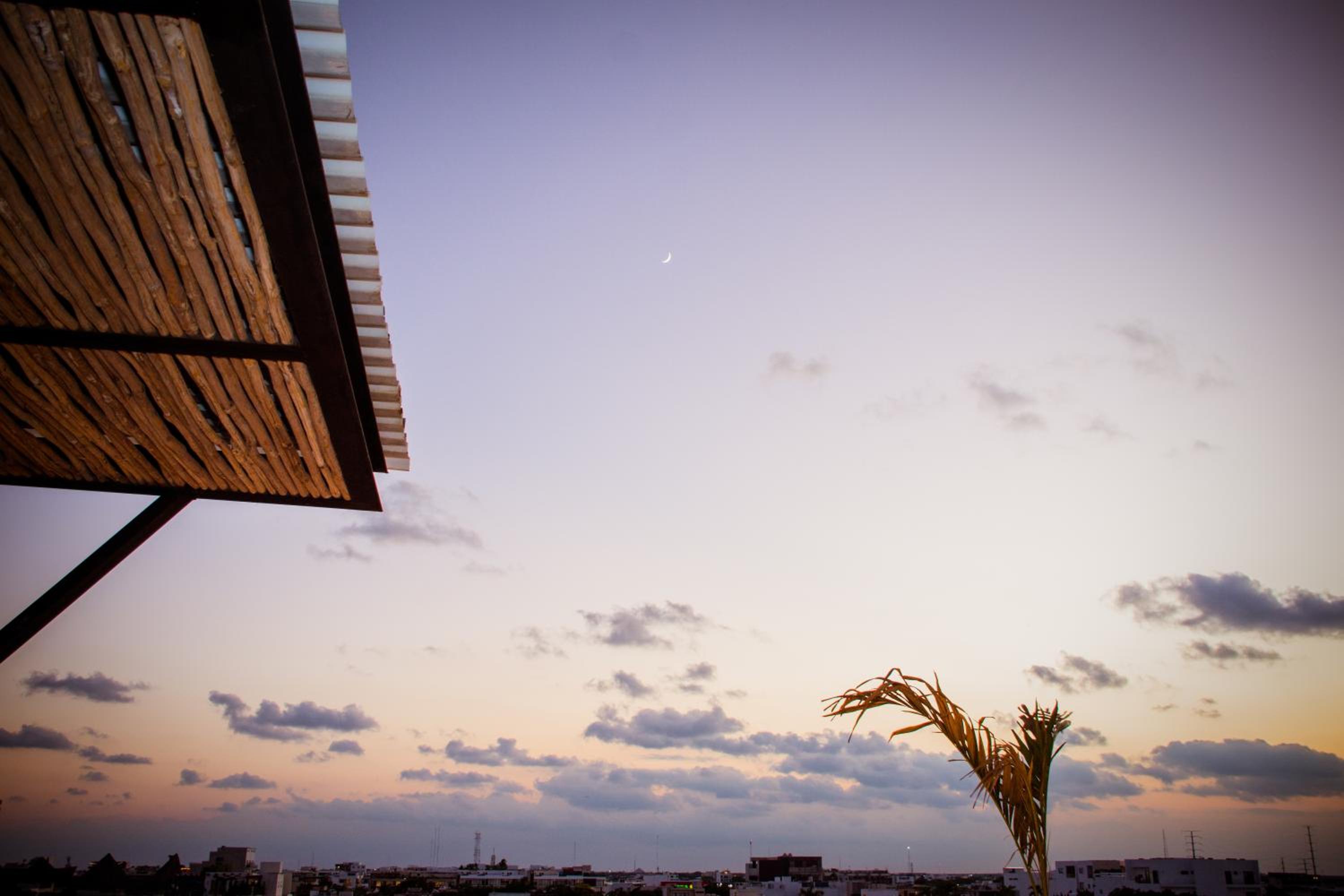 roof