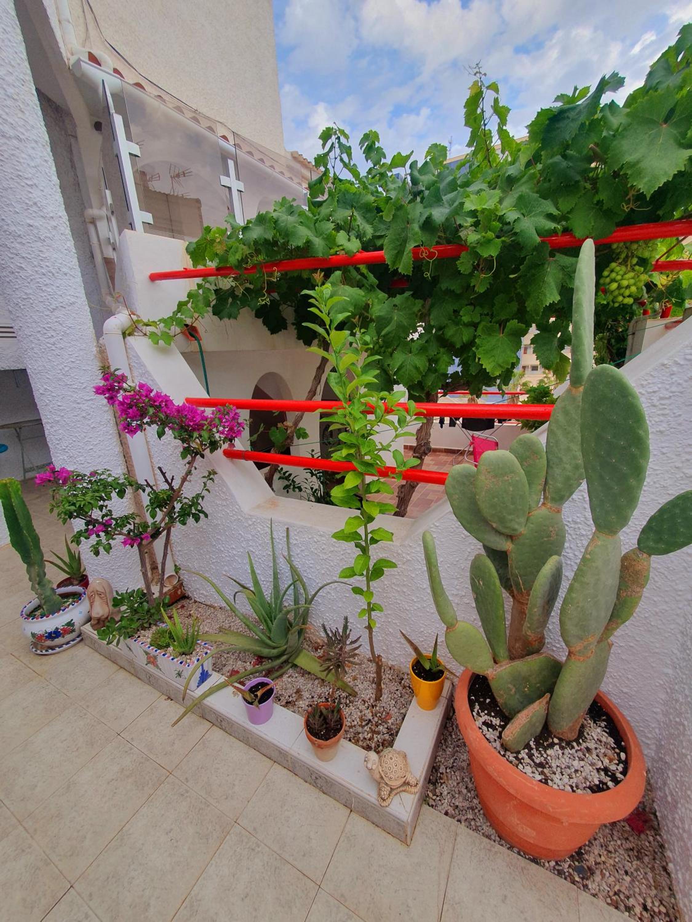 Casa Kasia
