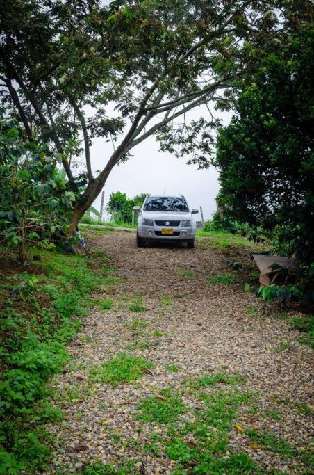 Finca El Danubio