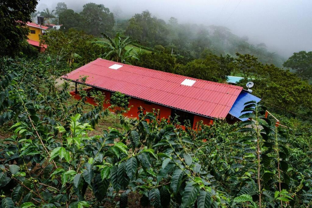 Finca El Danubio