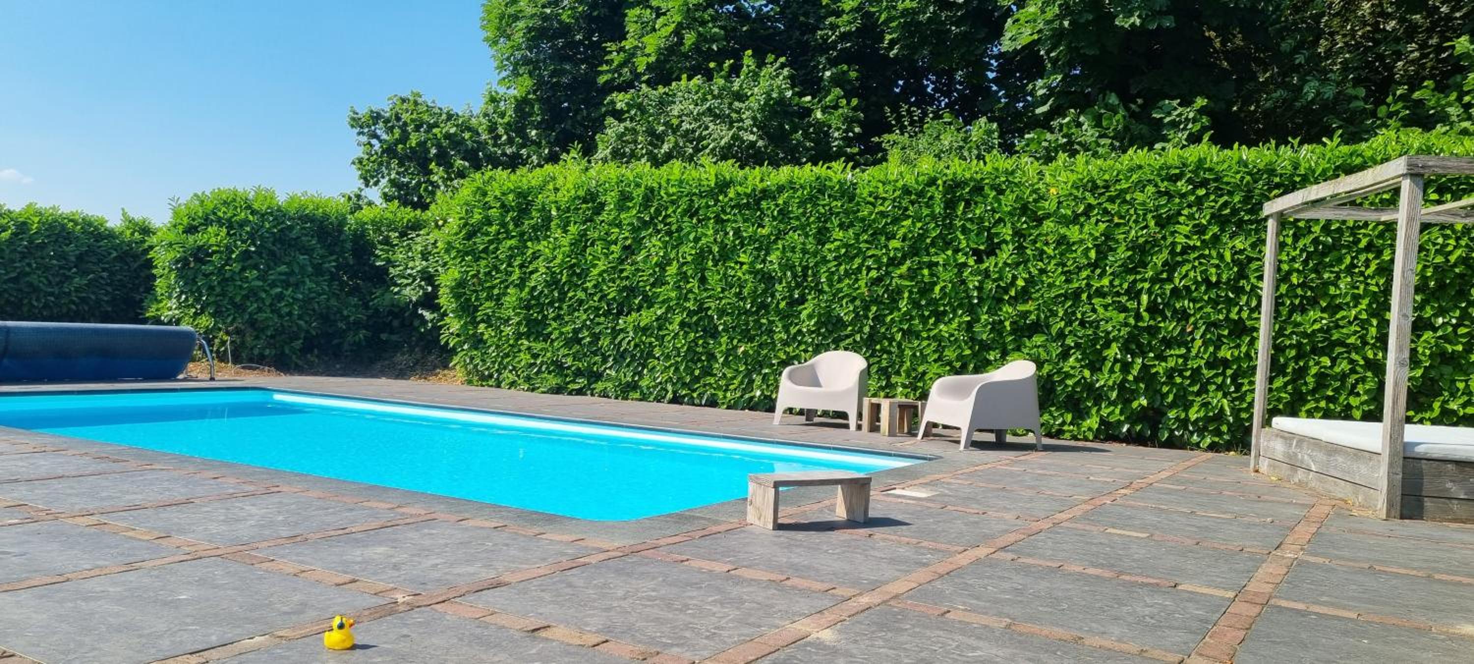8 person apartment with heated swimmingpool Hoek van Winssen