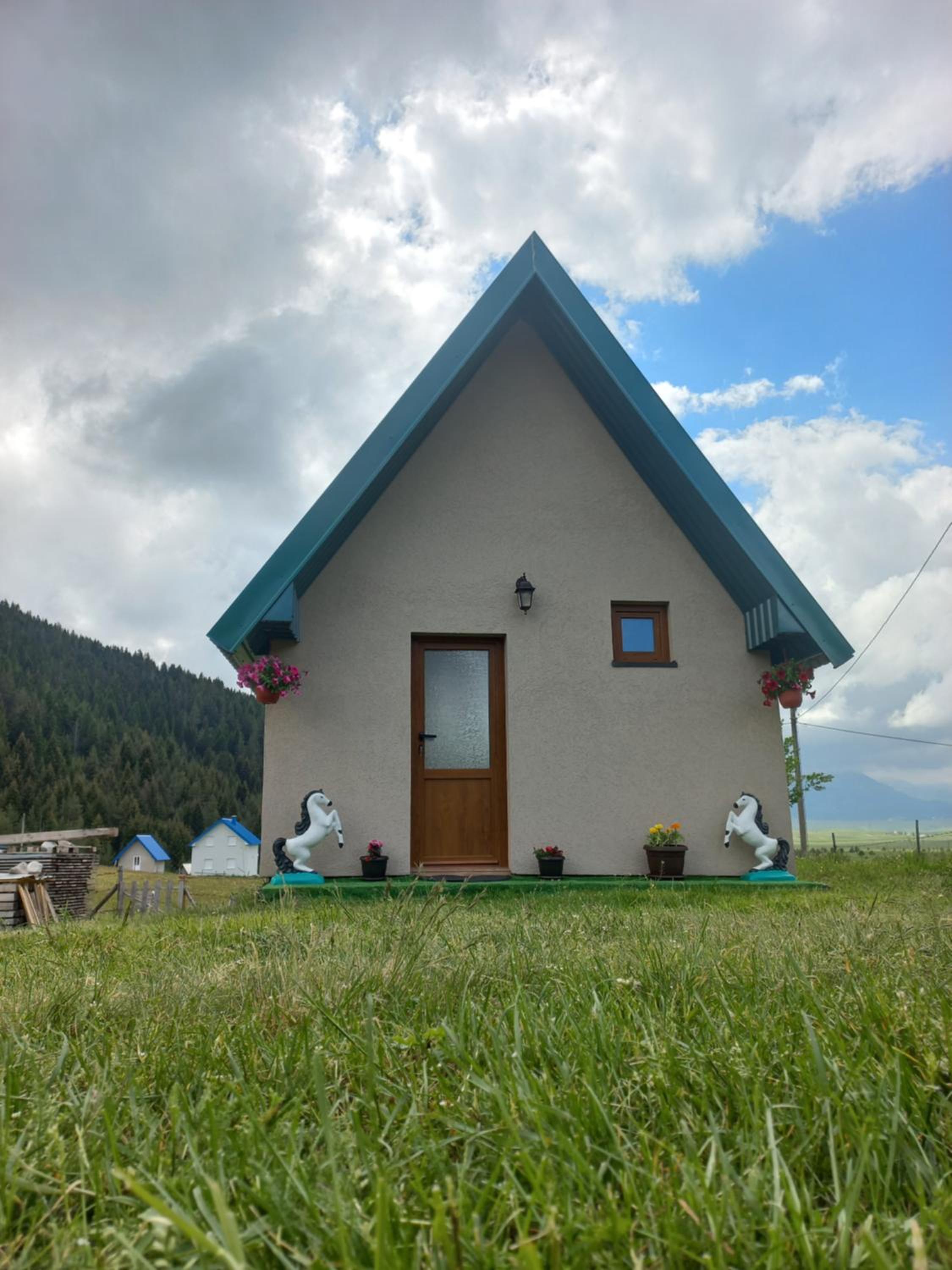 Photo 22