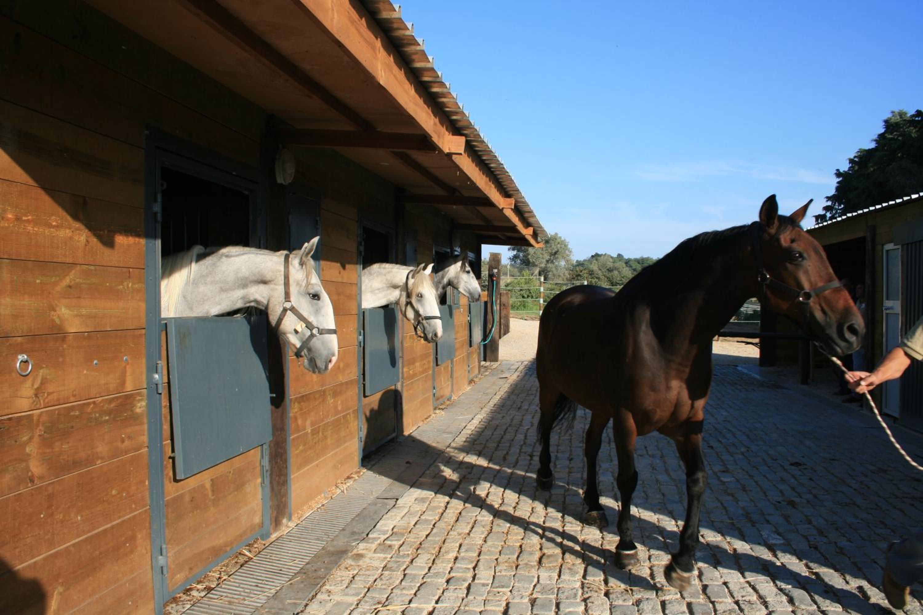 Casas das Amoreiras view 5