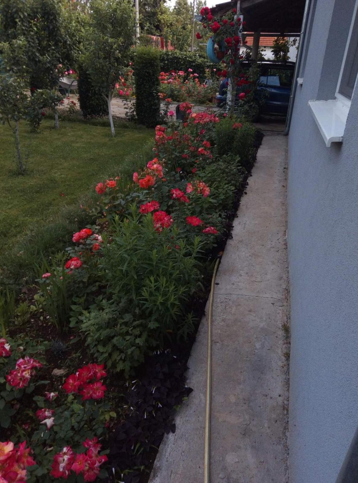 Kuca za odmor Duranovic view 2