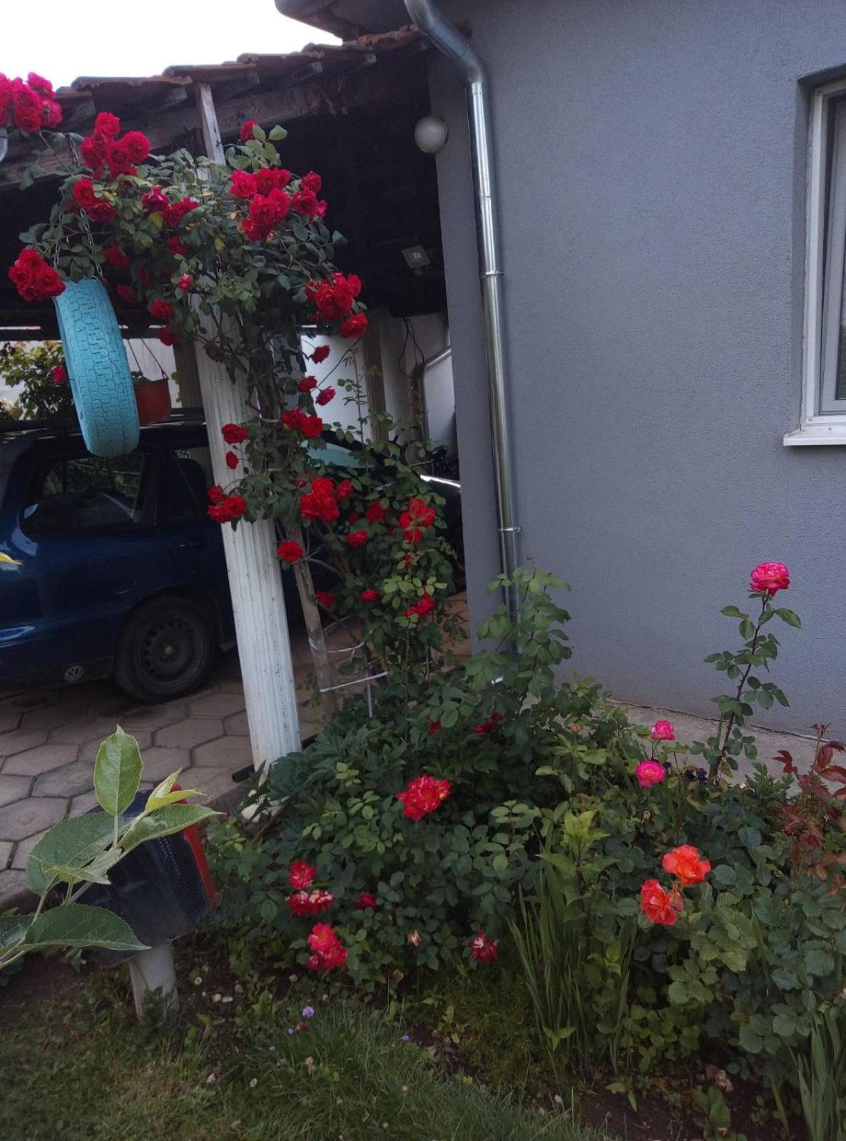 Photo 6