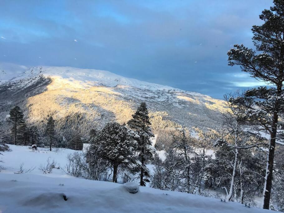 Bordalen-Voss view 4