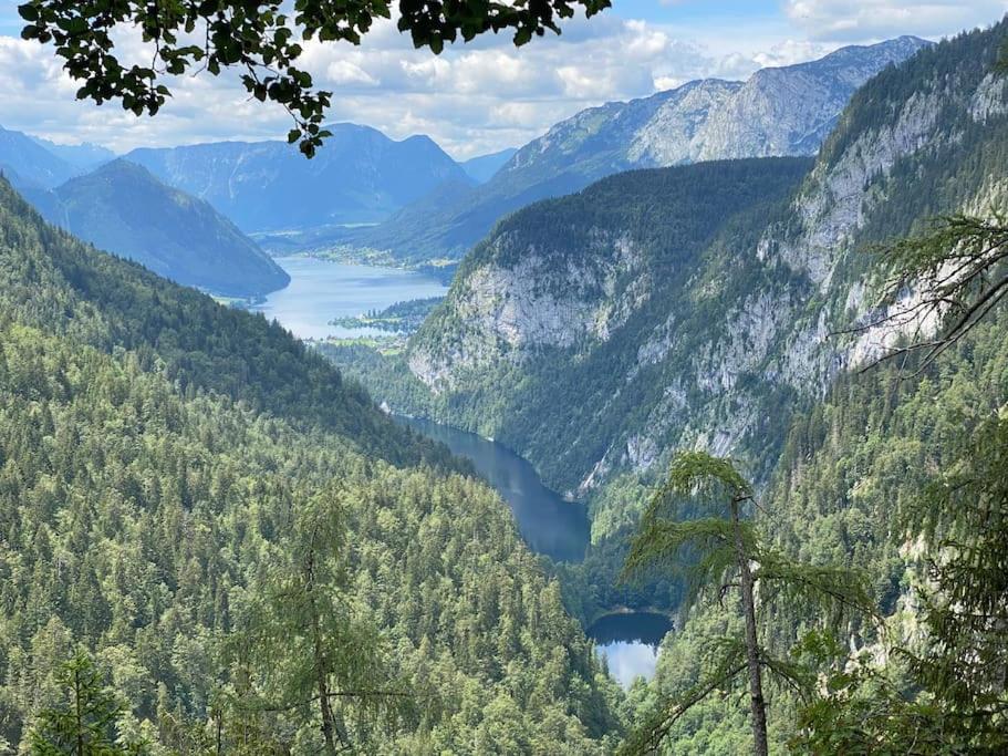 Alpenurlaub II Wohnung mit Traumausblick