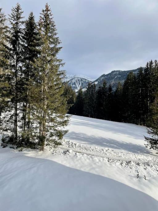 Alpenurlaub II Wohnung mit Traumausblick