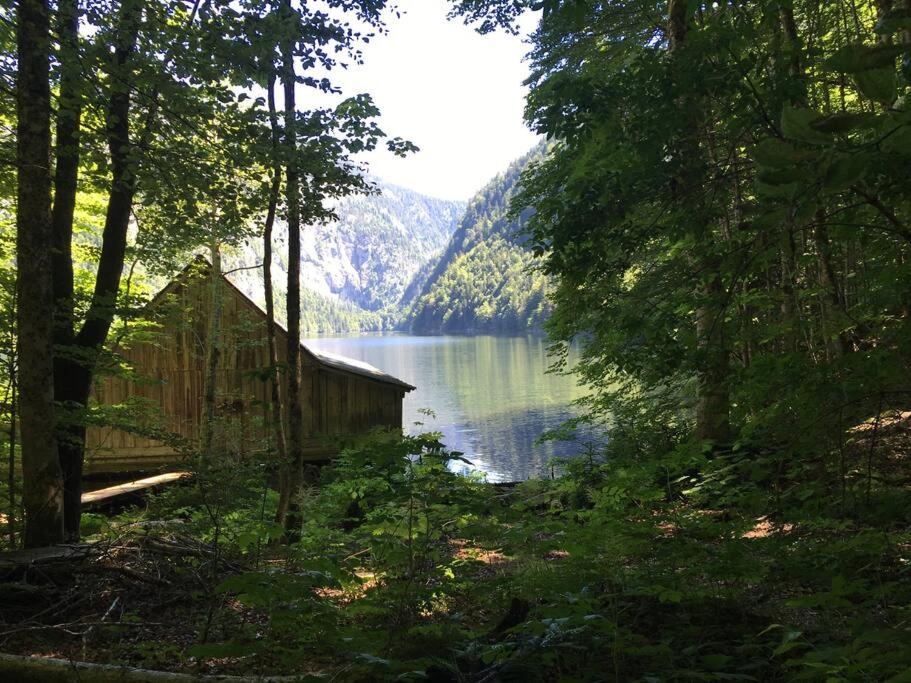 Alpenurlaub II Wohnung mit Traumausblick