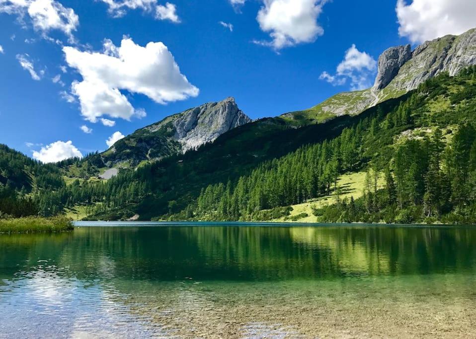 Alpenurlaub II Wohnung mit Traumausblick