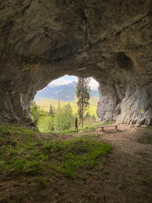 Alpenurlaub II Wohnung mit Traumausblick