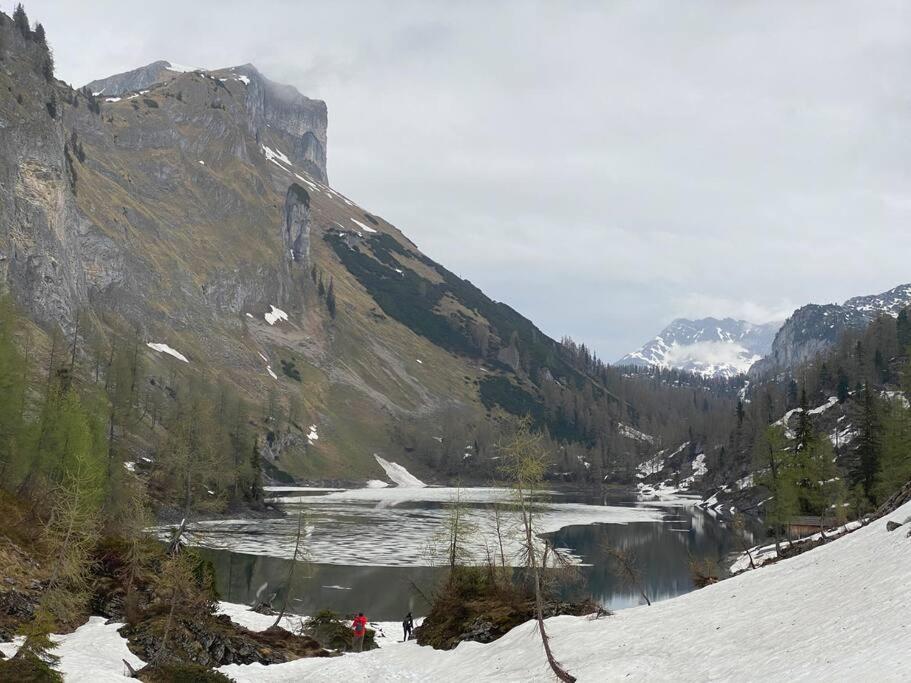 Alpenurlaub II Wohnung mit Traumausblick