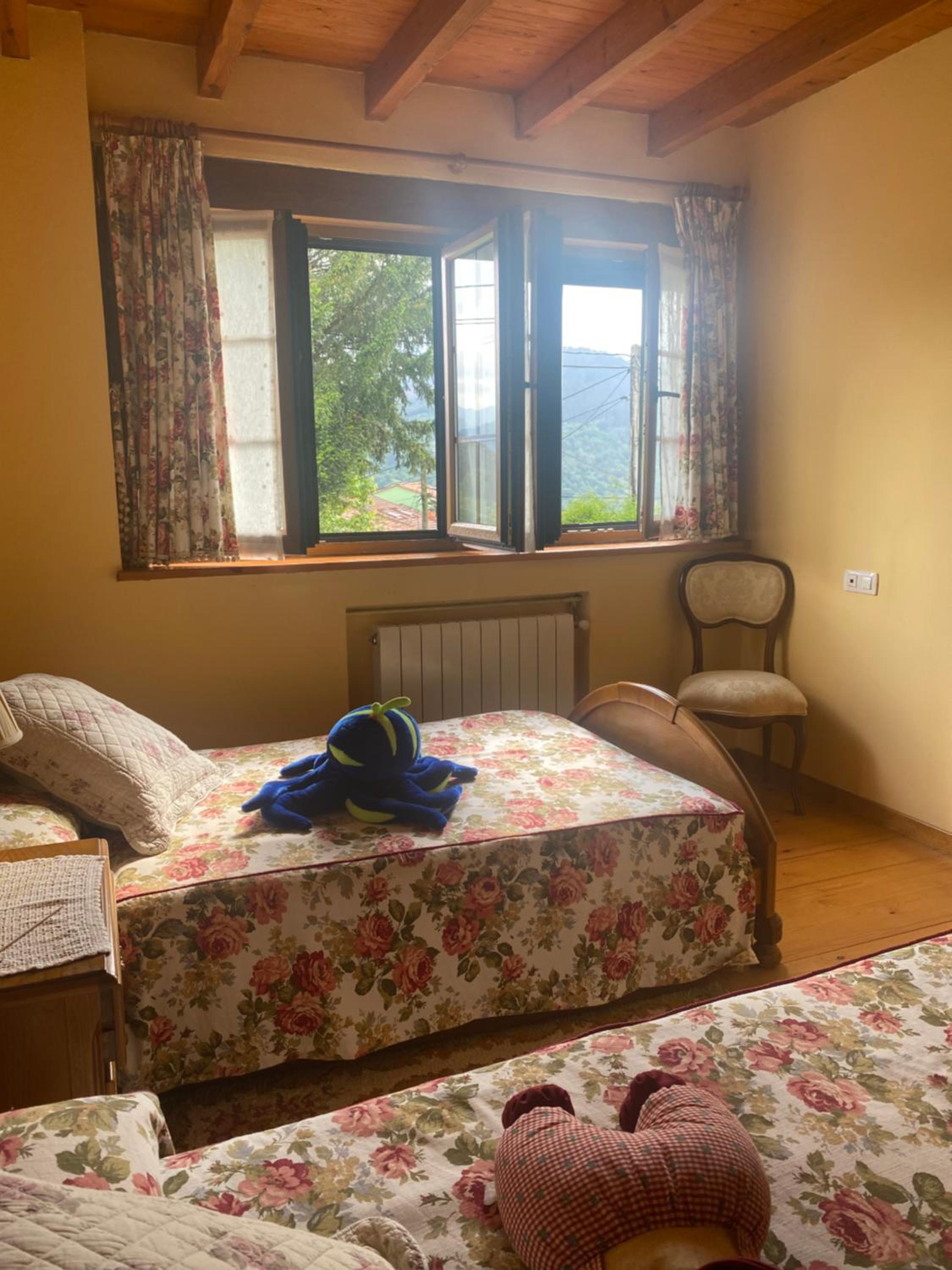 CASA LUISA Biedes, Piloña photo 3