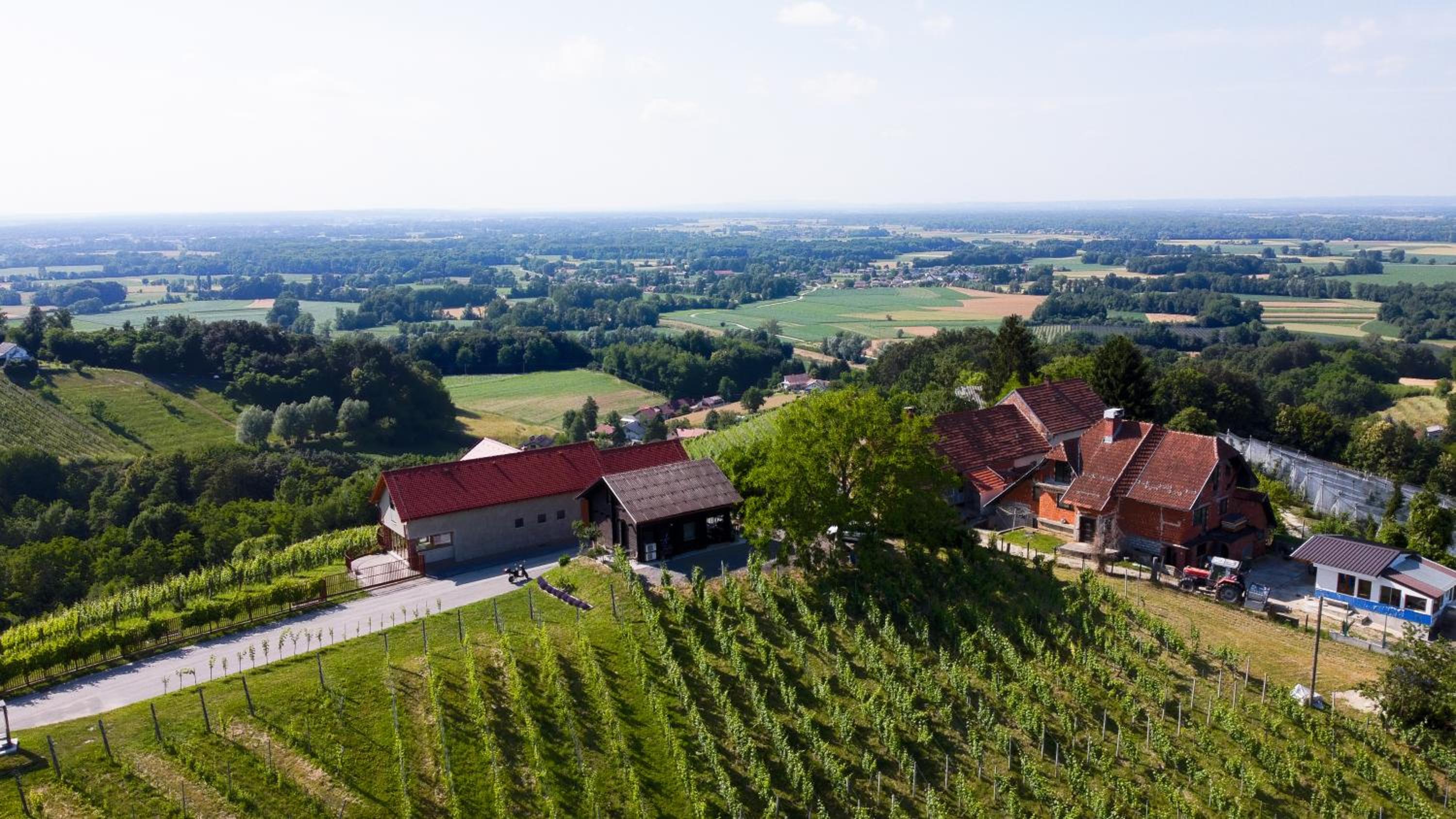 Apartma med vinogradi view 5