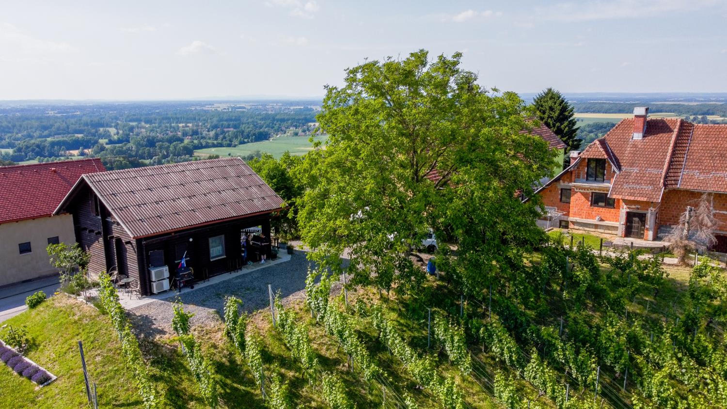 Apartma med vinogradi view 4