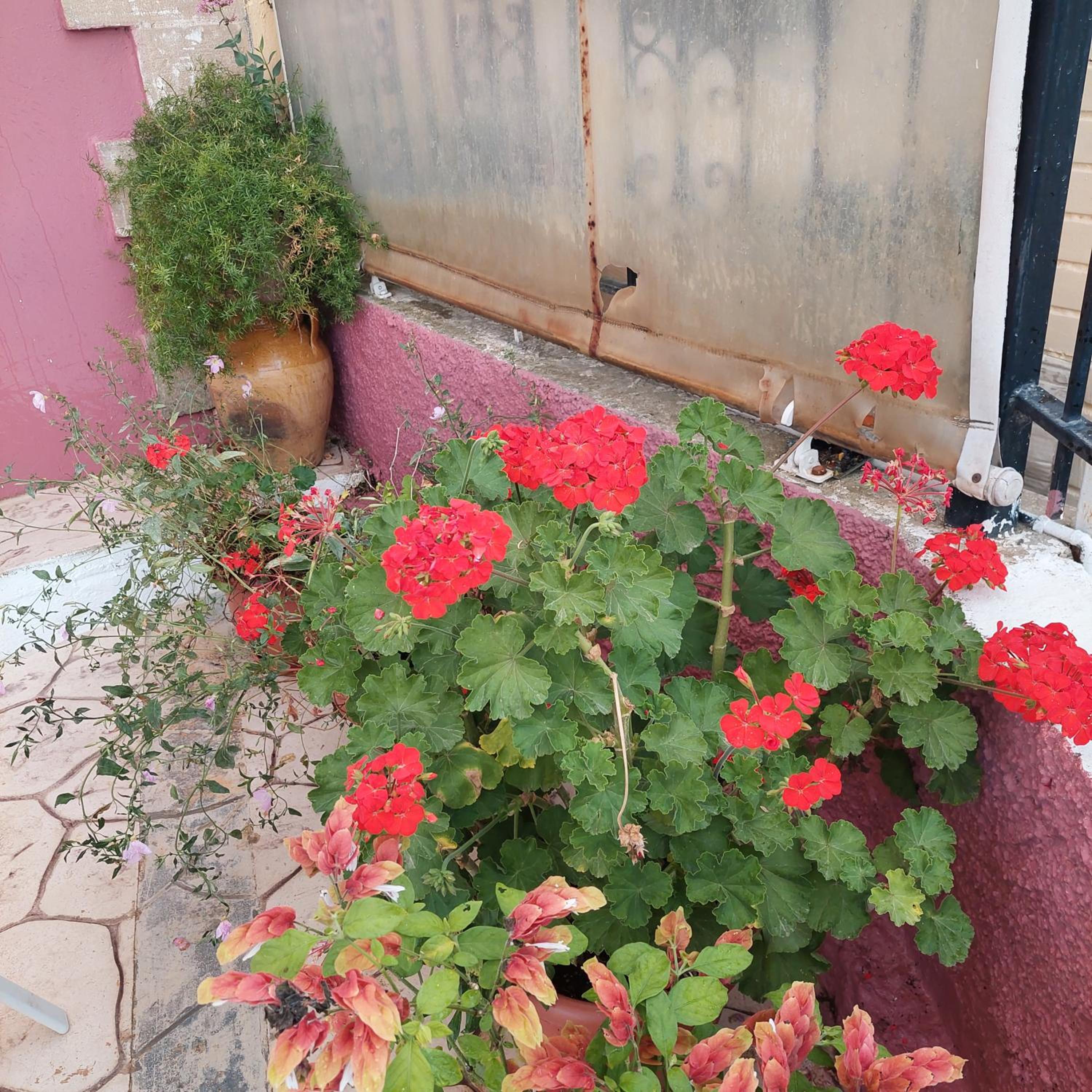 Photo 41