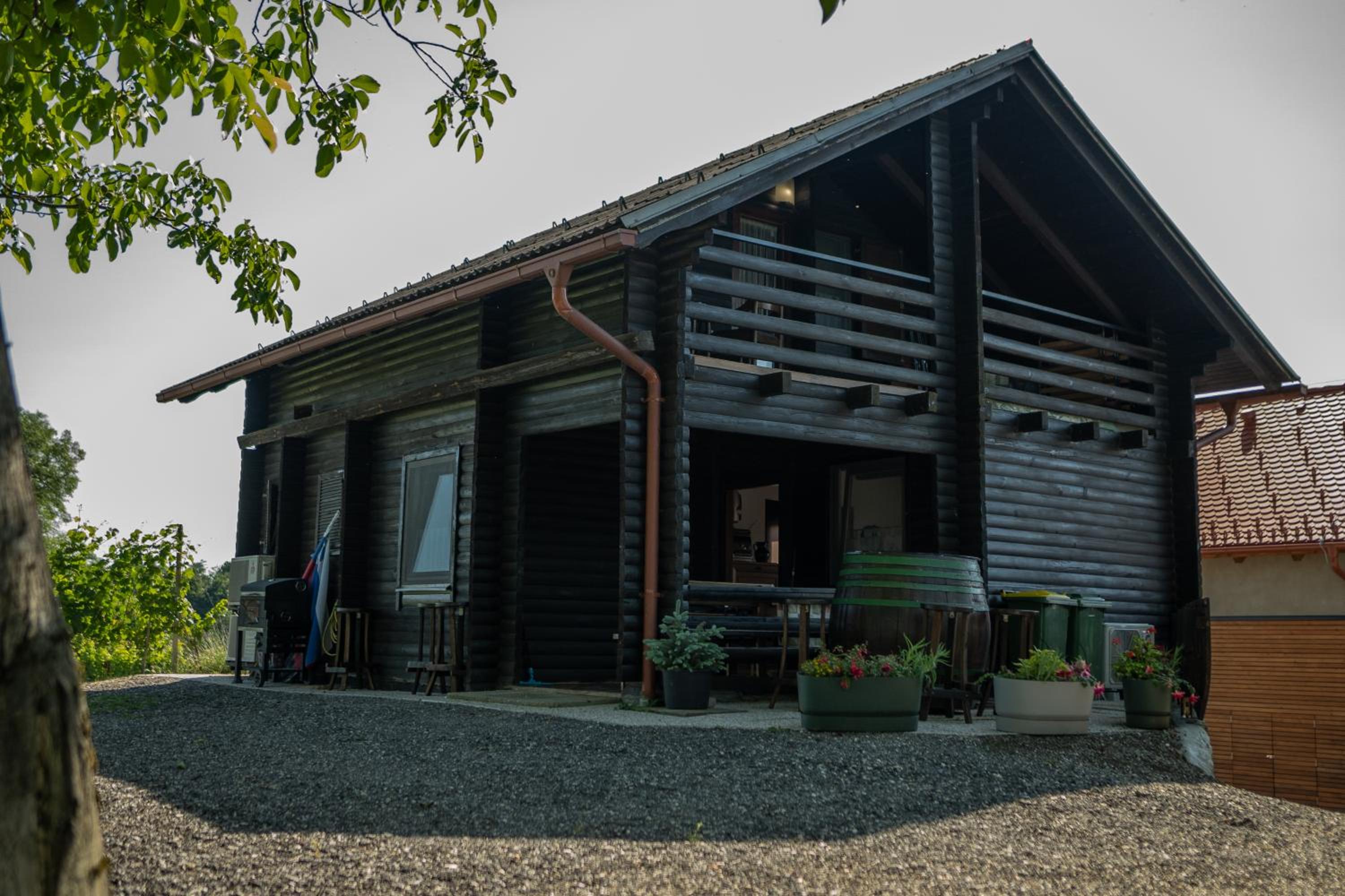 Apartma med vinogradi view 2