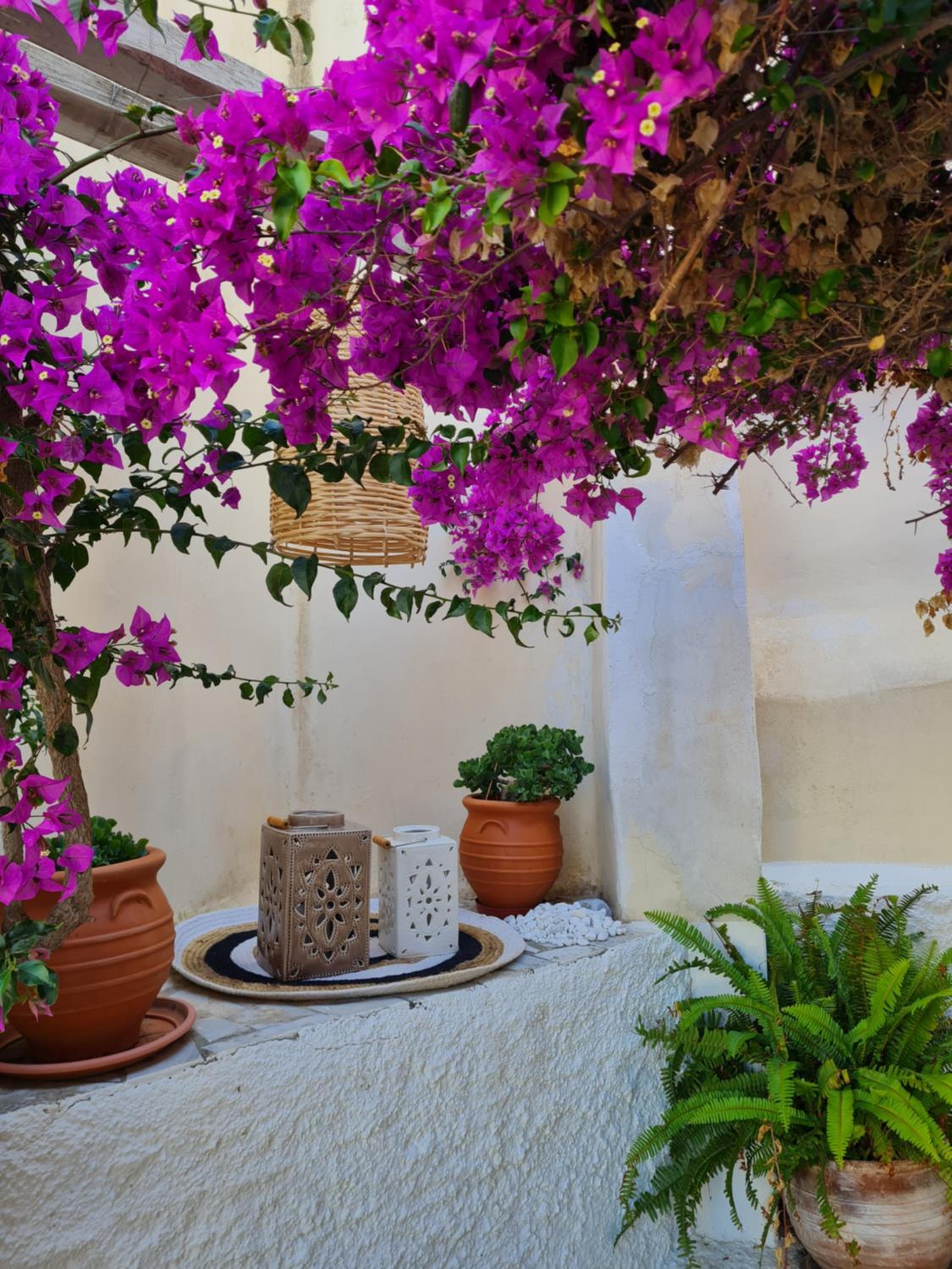 Hotel Omiros