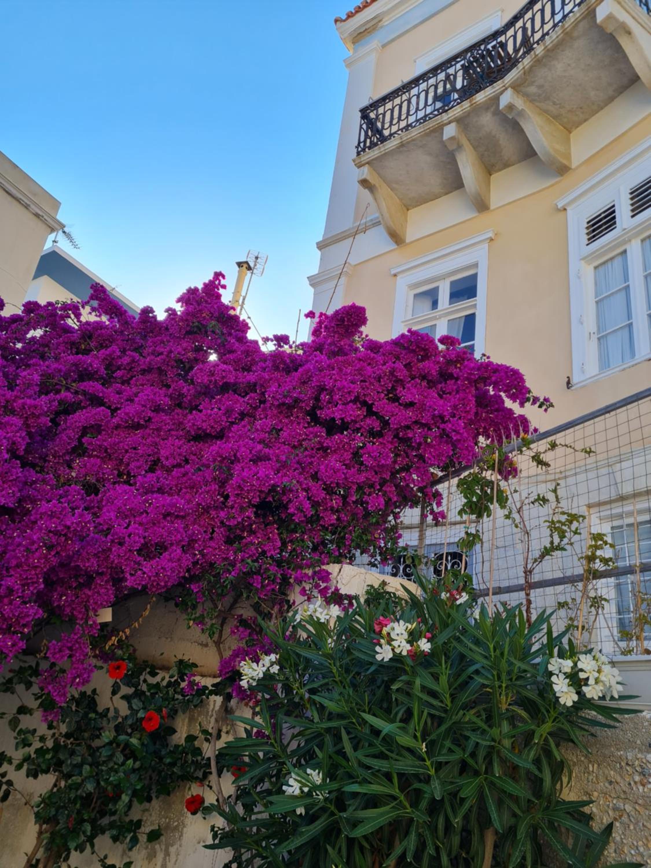 Hotel Omiros