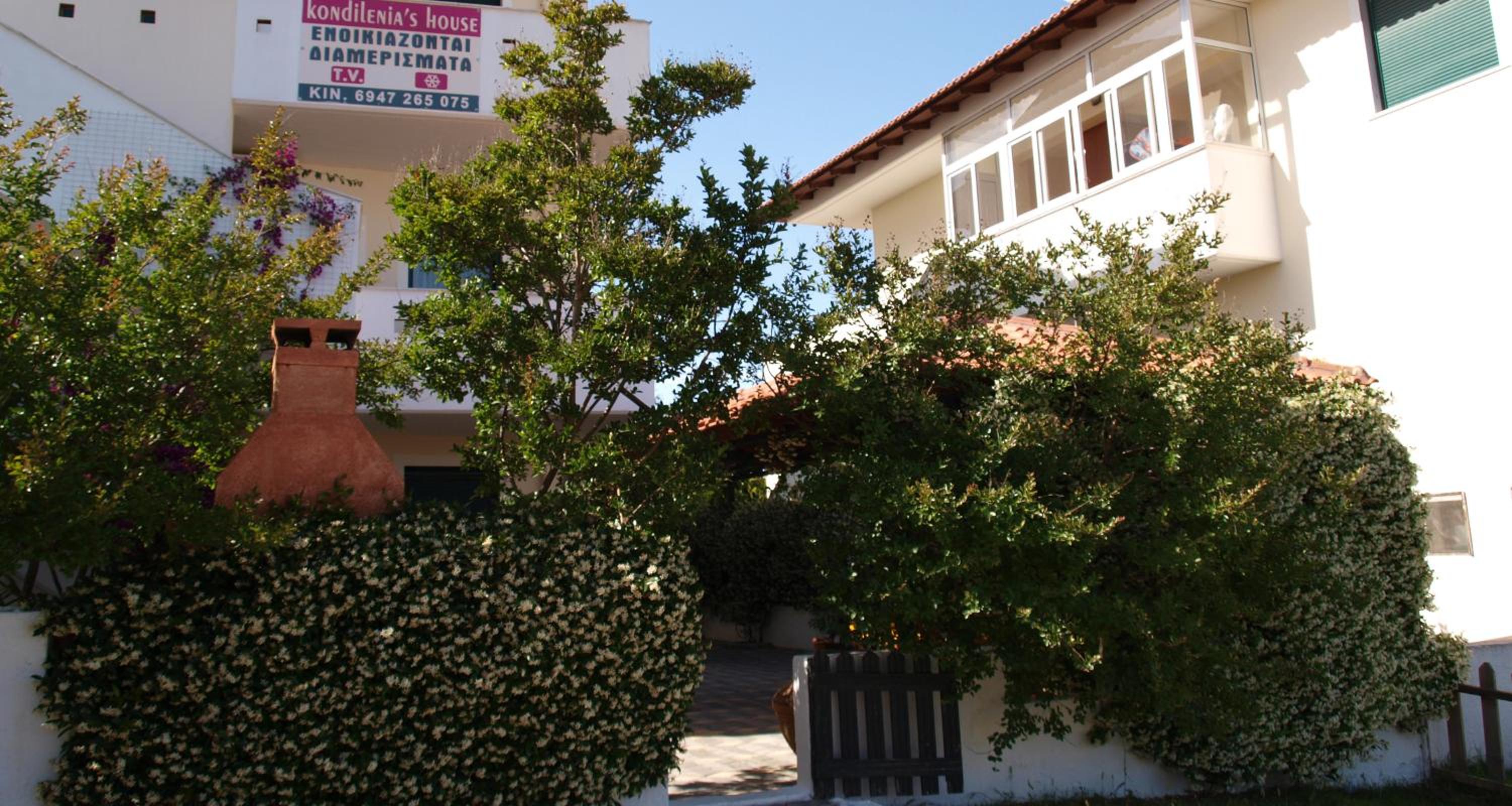 Photo 11