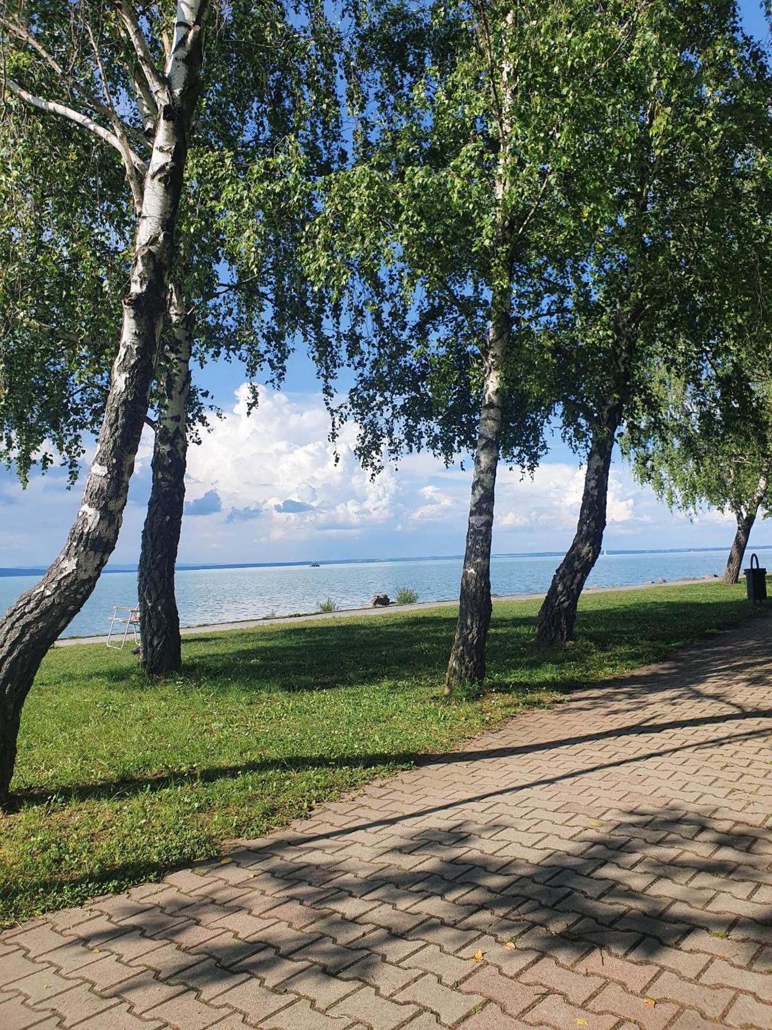 Photo 35