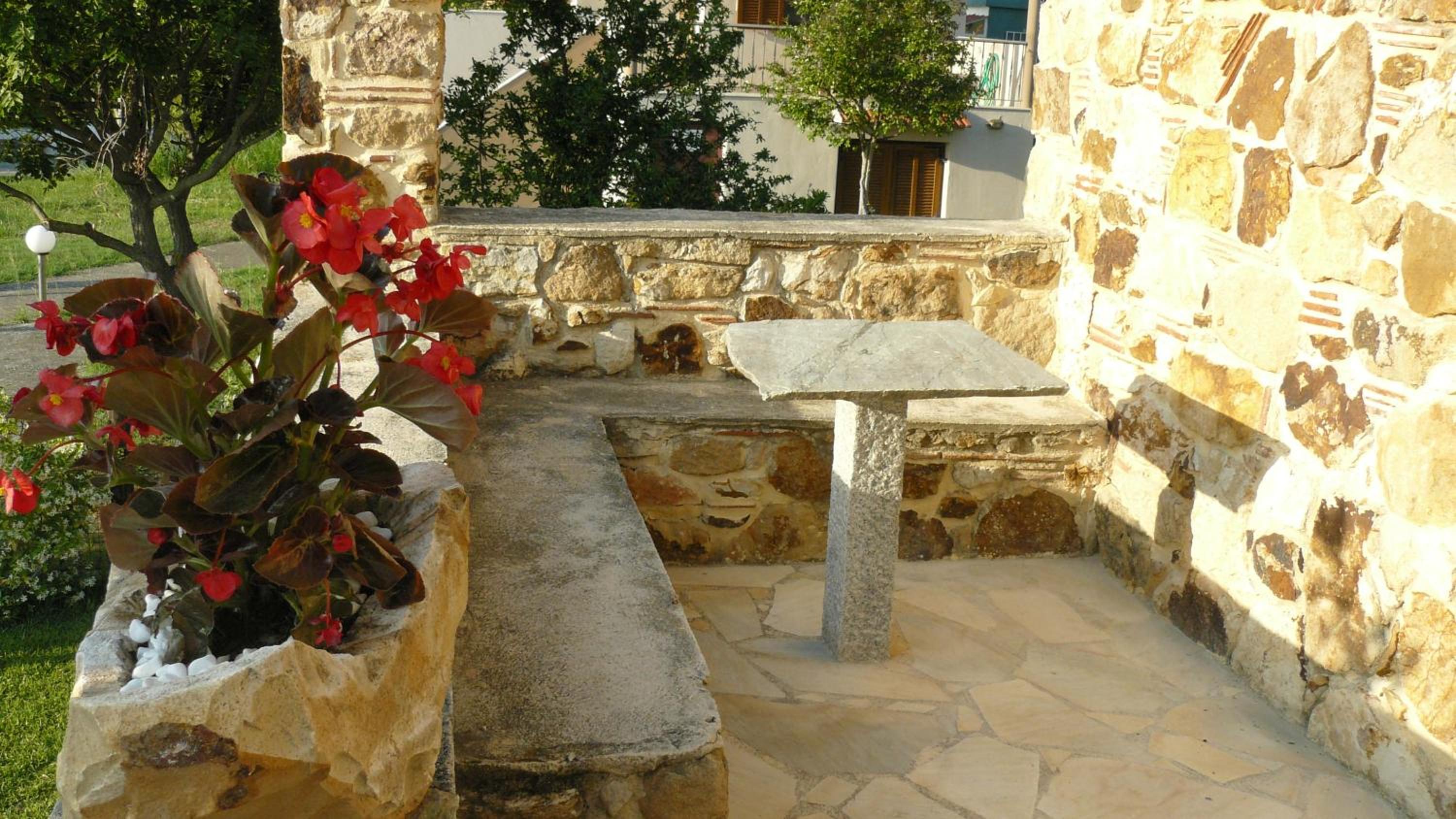 Photo 6