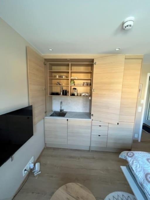 Studio Leiligheit