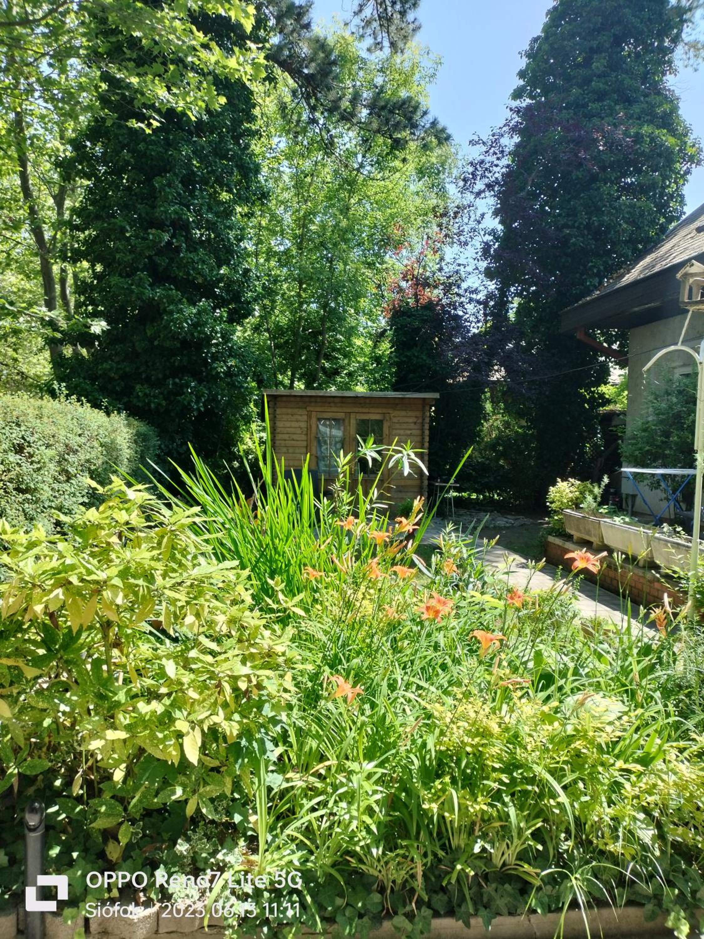Balassa House view 3
