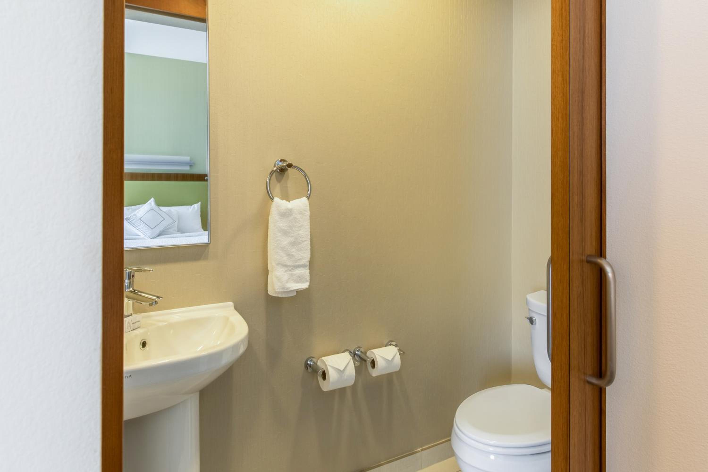 SpringHill Suites by Marriott Houston Rosenberg - Property Image 9
