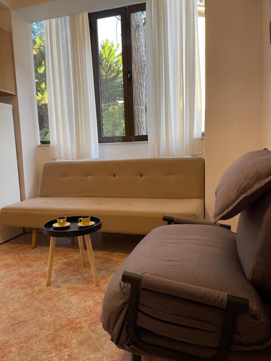 Sunny hill Apartment