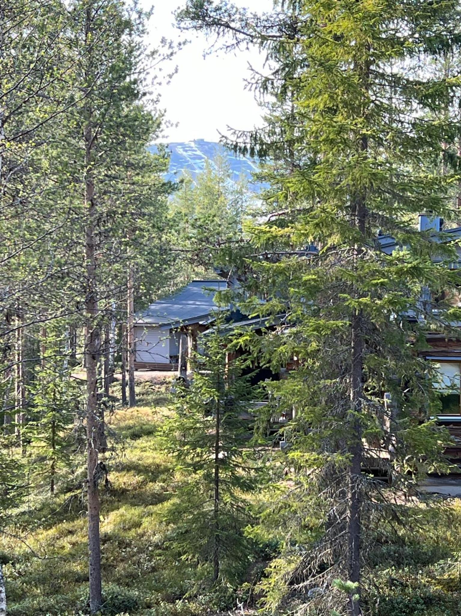 Rauhallinen kelohuoneisto lähellä palveluita, Peacefull Log apartment at Ylläs