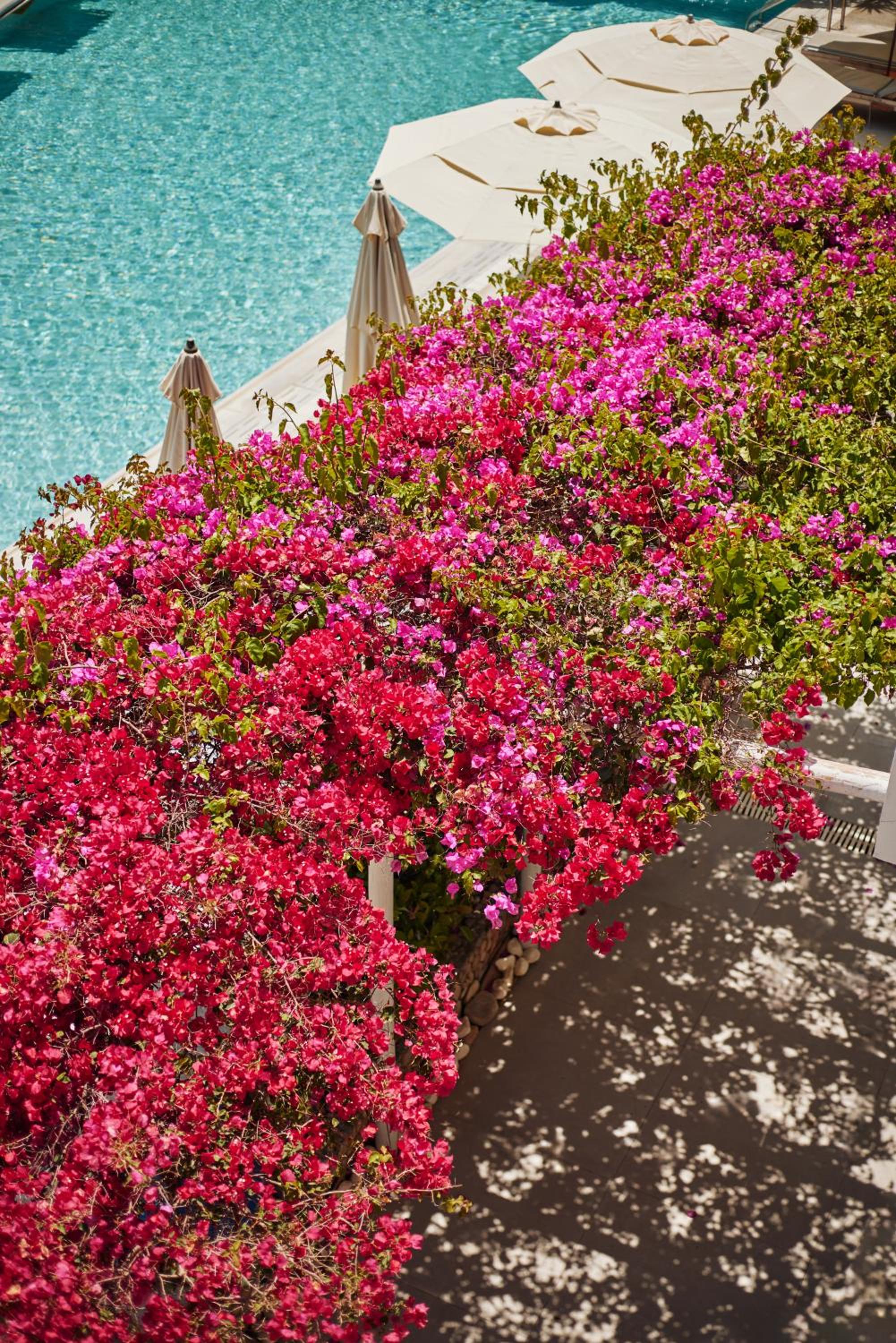 Iniohos Zante Hotel & Suites, Foto 60