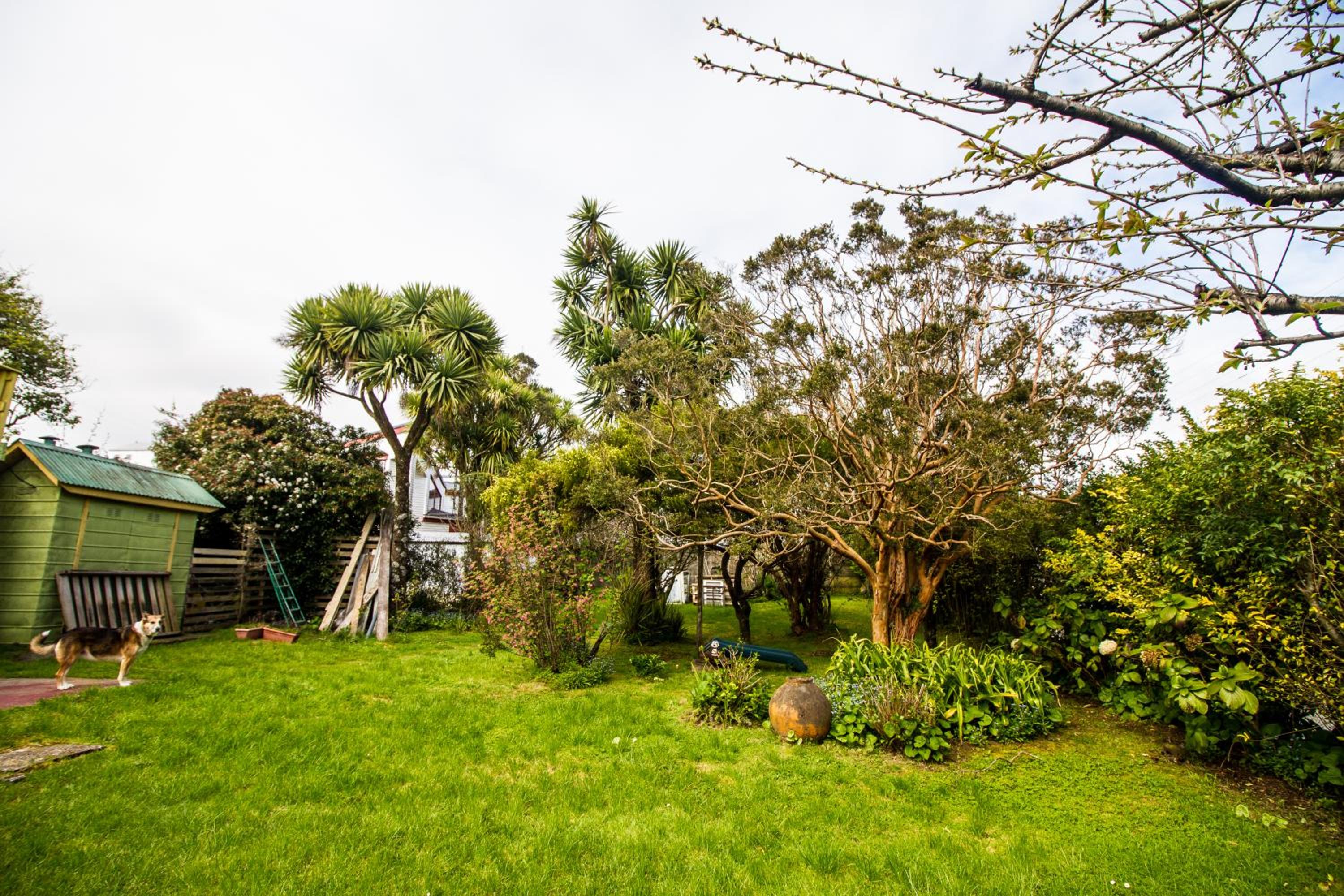 13 Lunas Hostel
