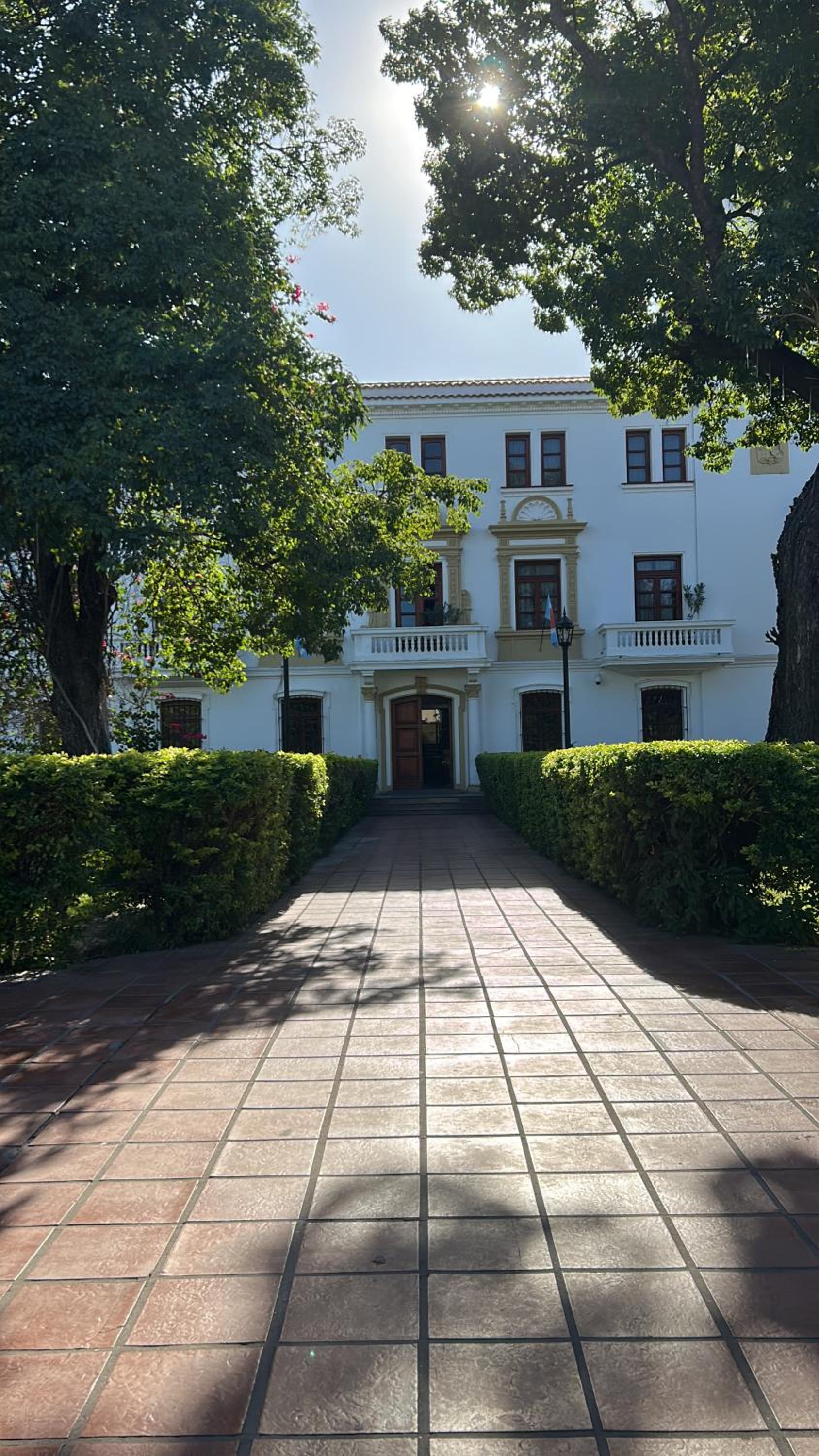 Suite Alvear