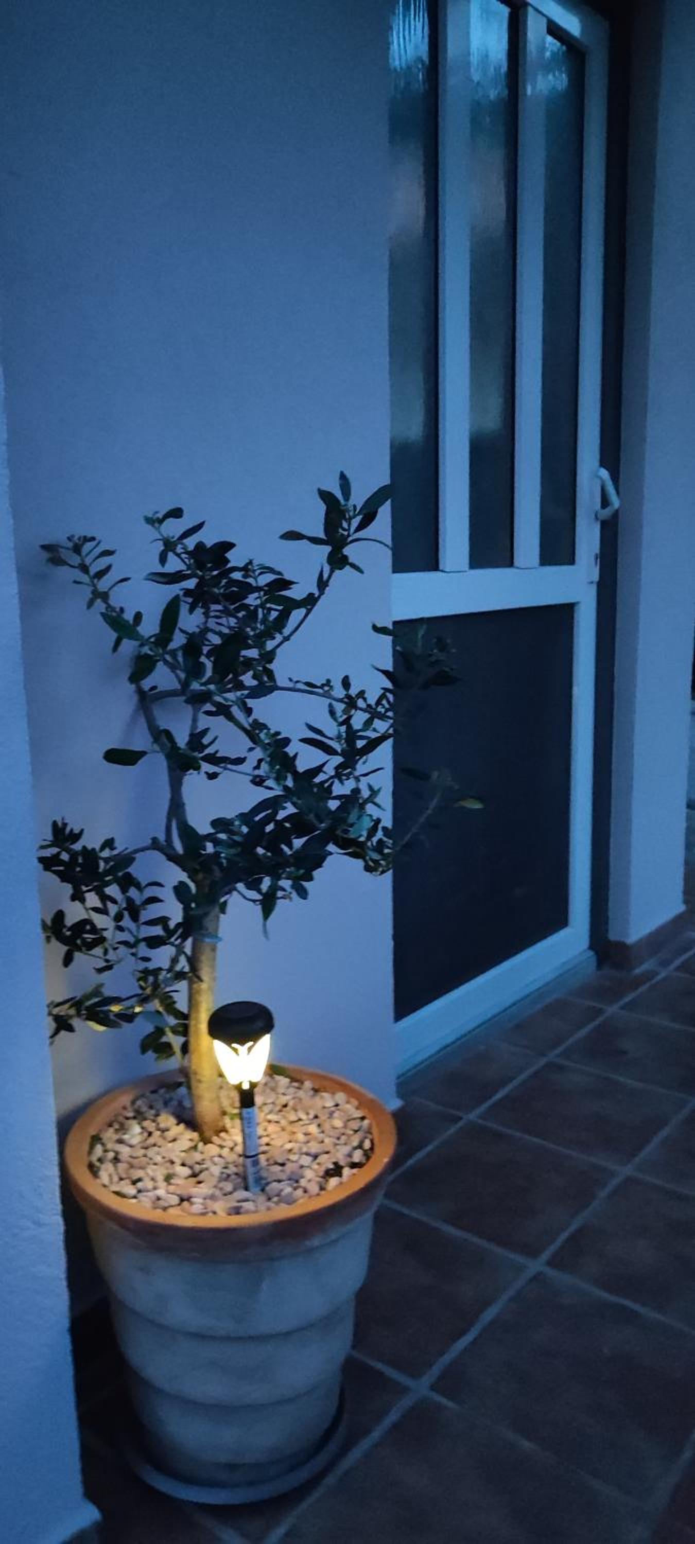Apartman Campo