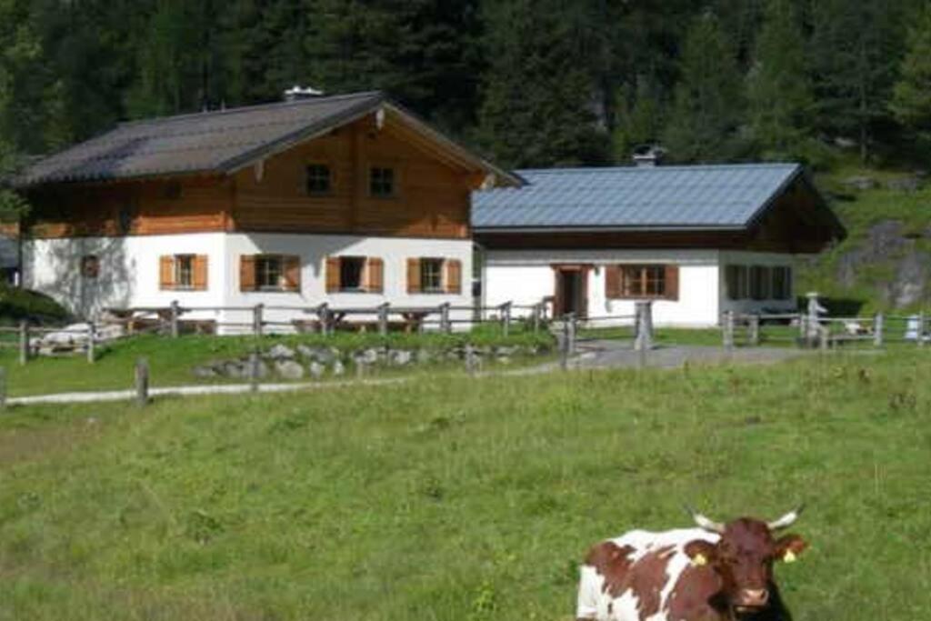 Chalet Neuhofalm Obertauern mit Sauna und Hobbyraum view 2
