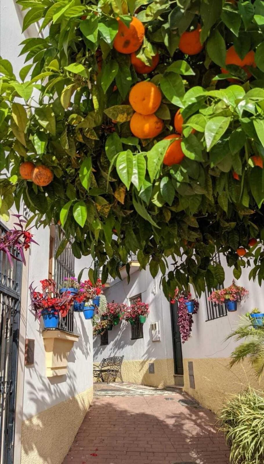 Casa Gibraltar