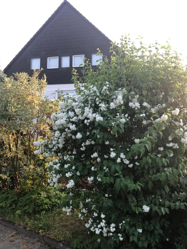 Photo 45