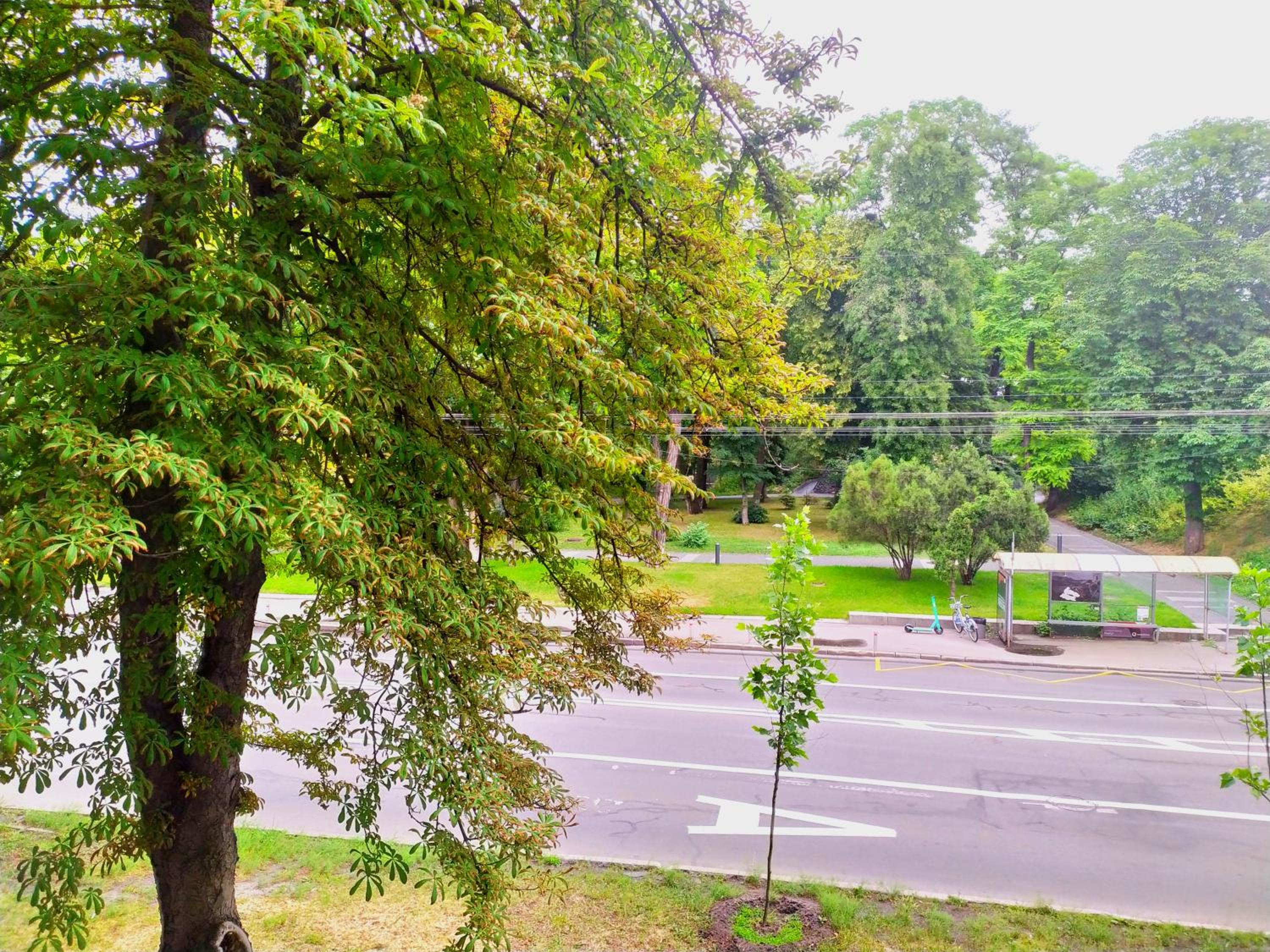 Great view apartaments near Lavra view 4