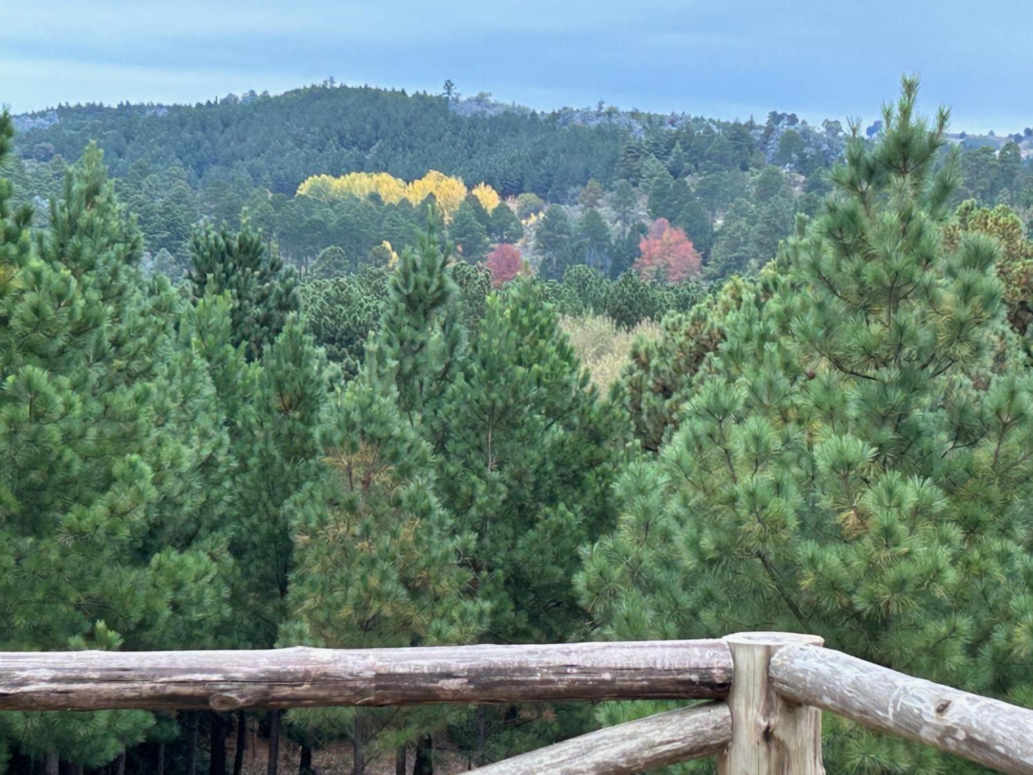 CABAÑA SIERRAS de CORDOBA