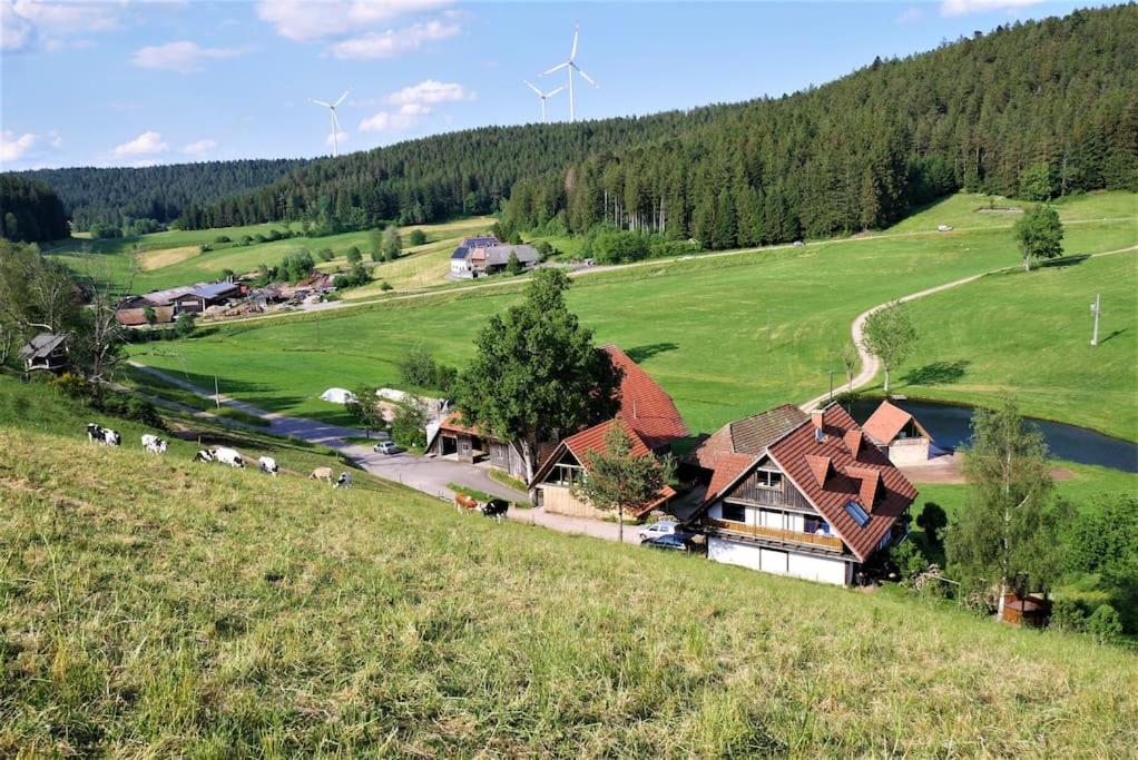 Ferienhaus im Schwarzwald - Kornspeicher