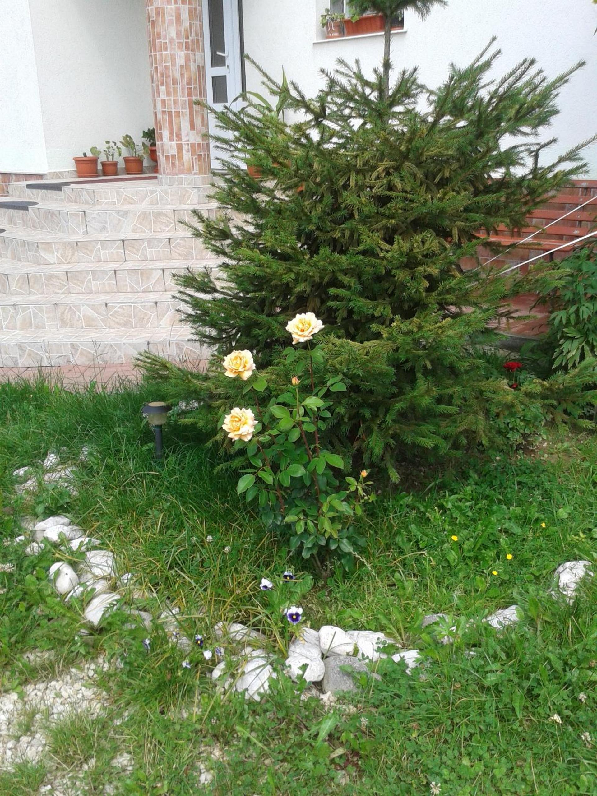 Photo 58